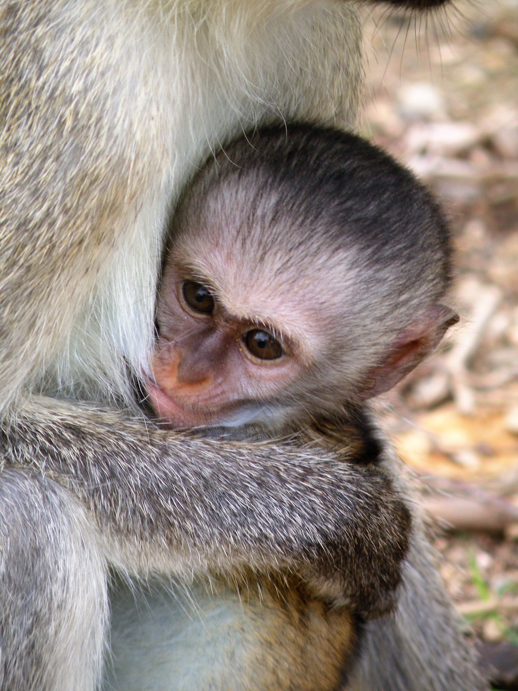 Moments of sweetness