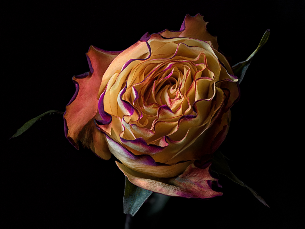 I colori dell'inverno