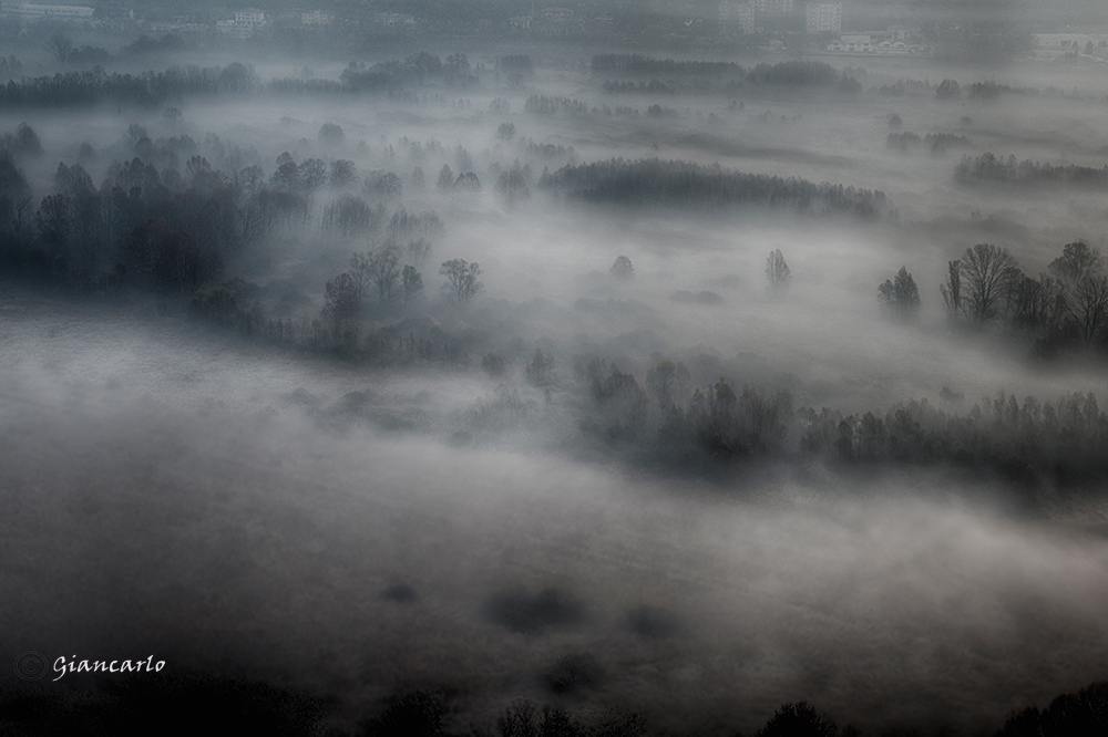 An almost winter morning