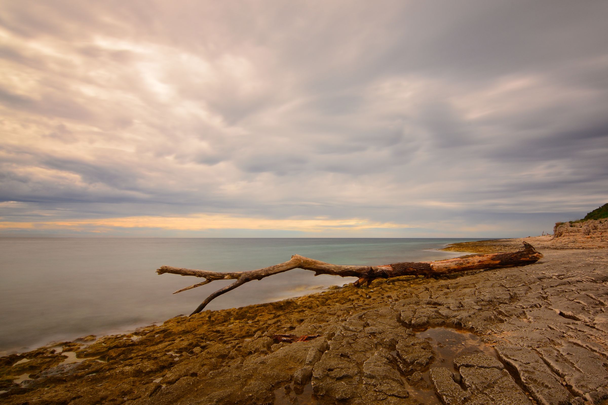 rovigno1_amarin_2018