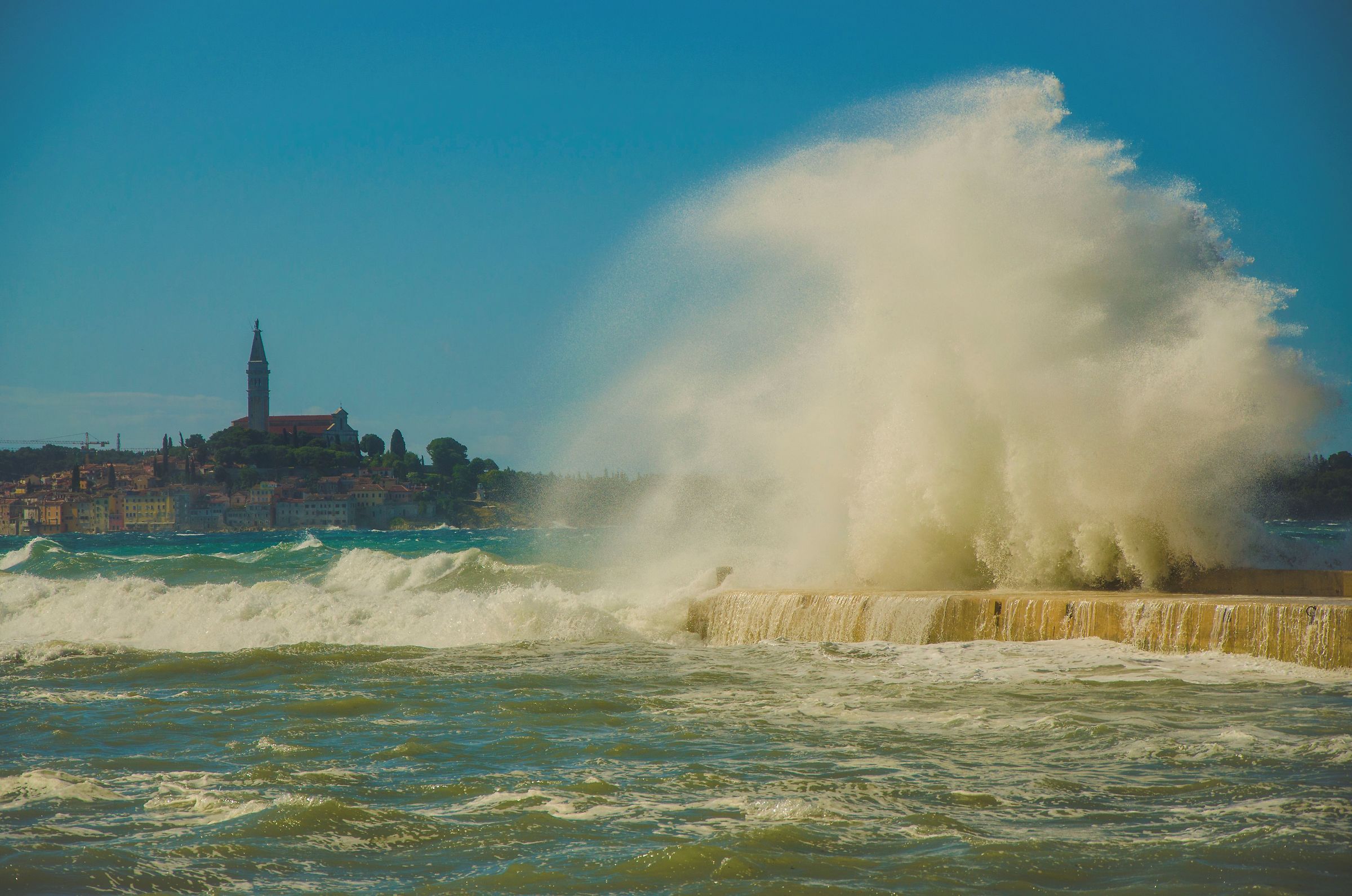 rovigno2_amarin_2018