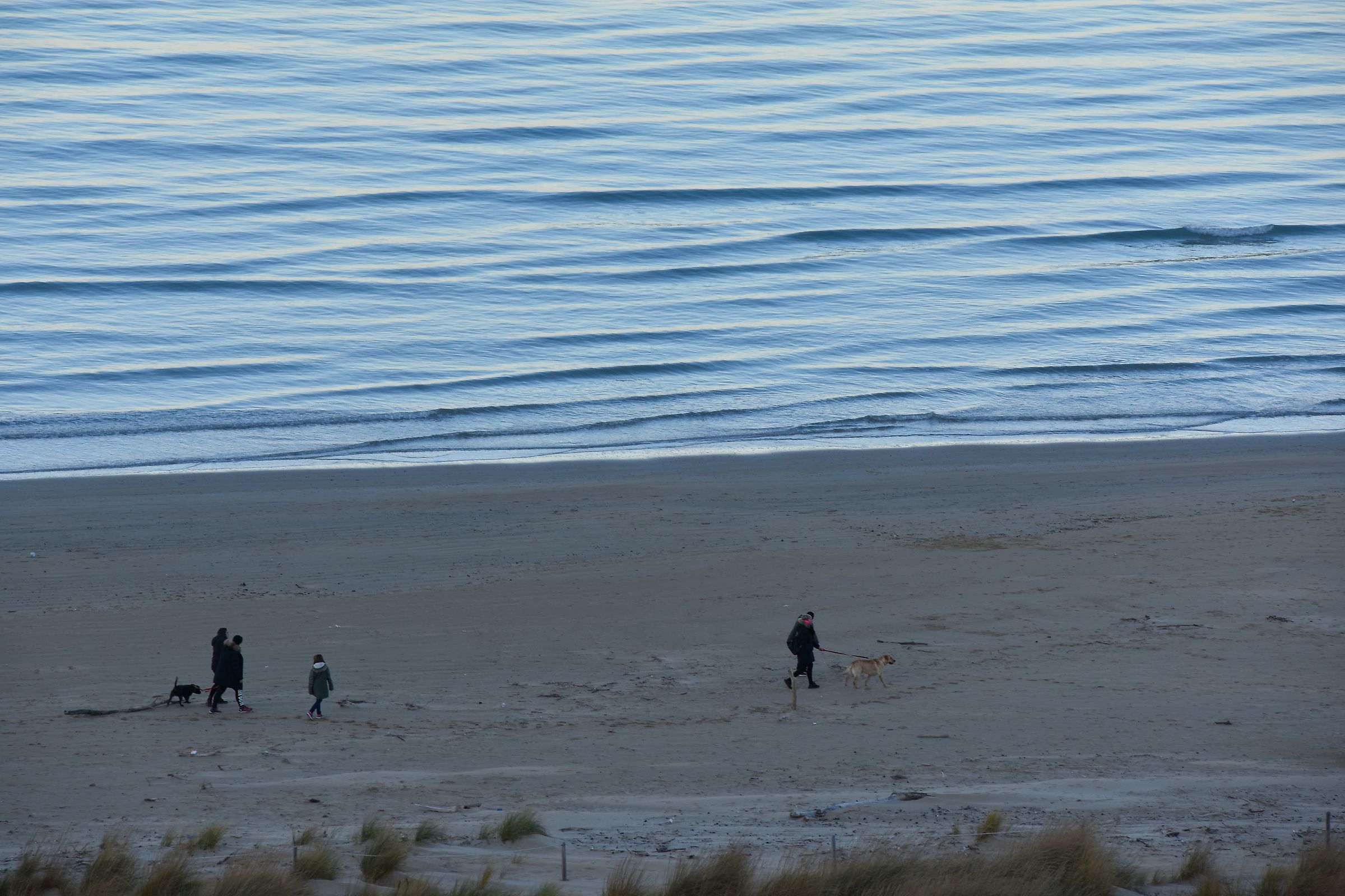 With blue still in the eyes