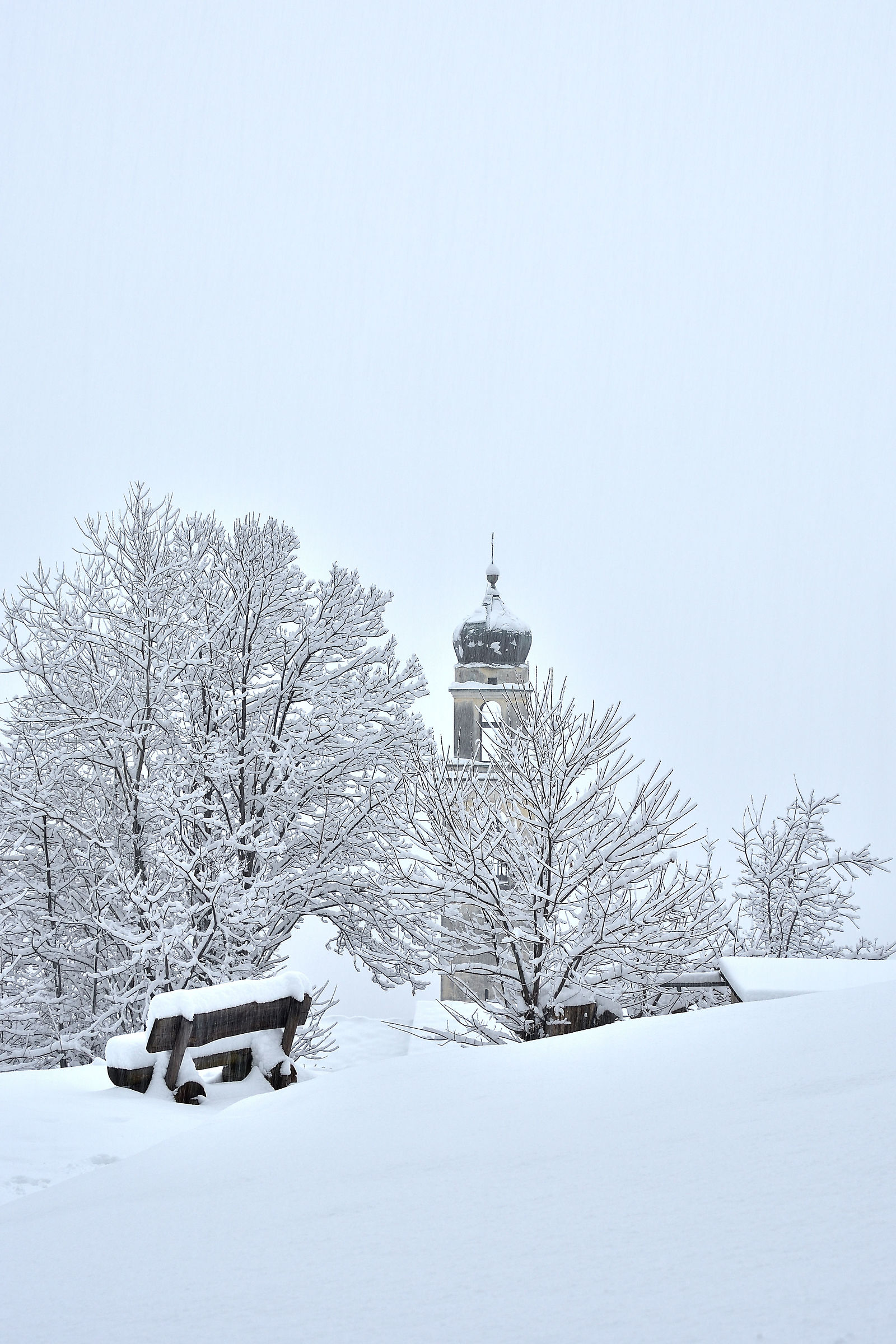 In the grip of frost