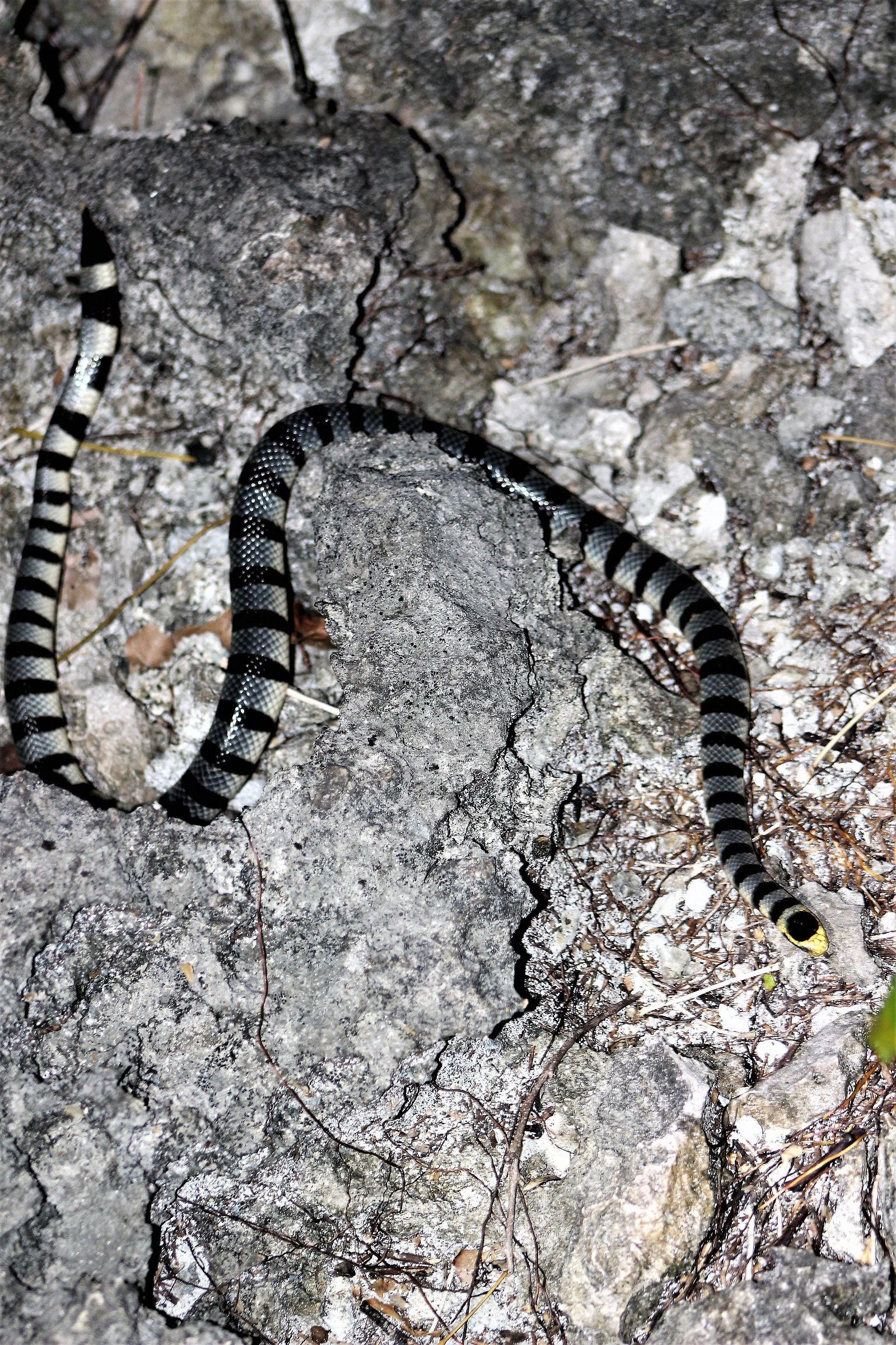 Una ripresa molto rischiosa