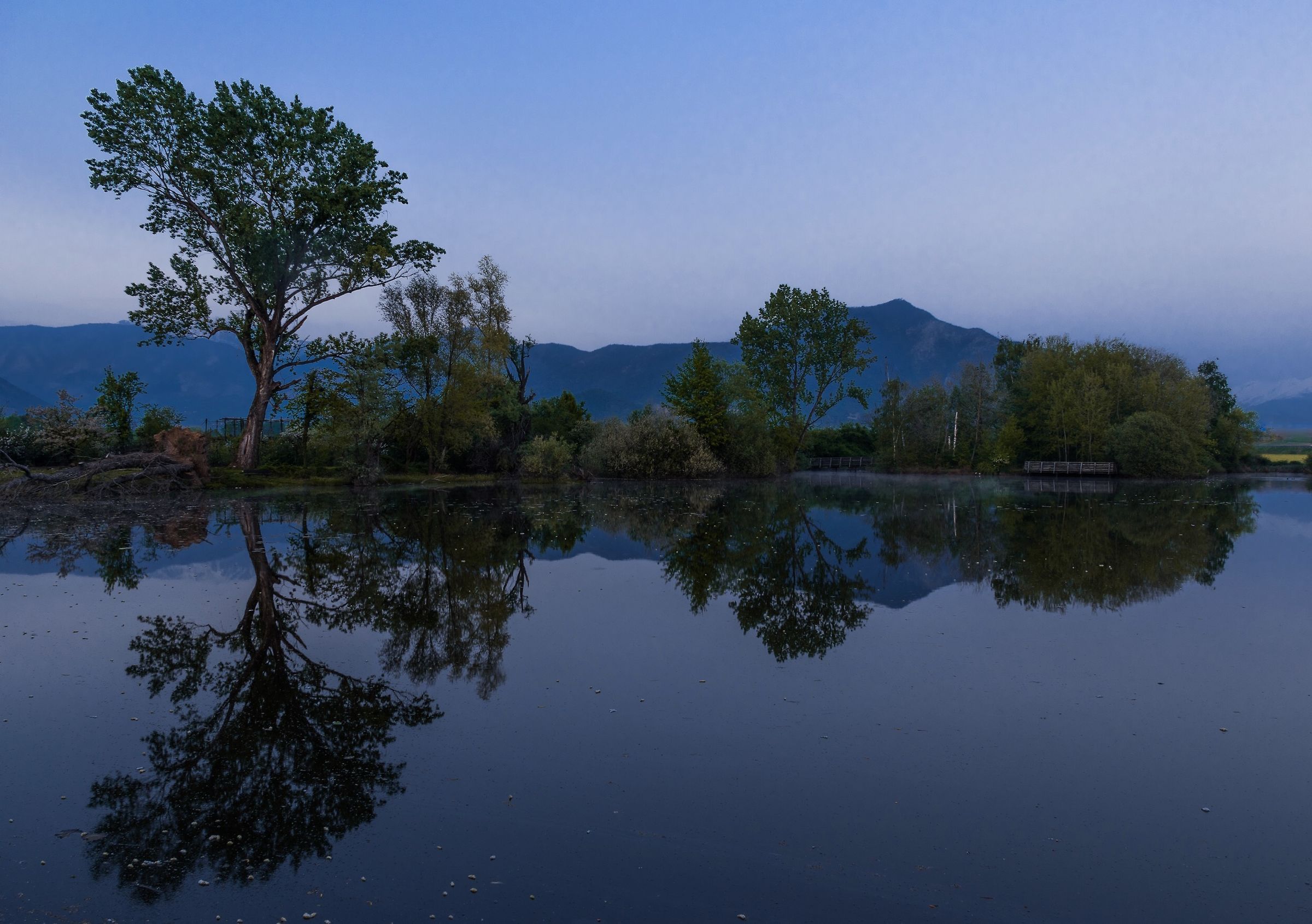 Waiting for the Sunrise