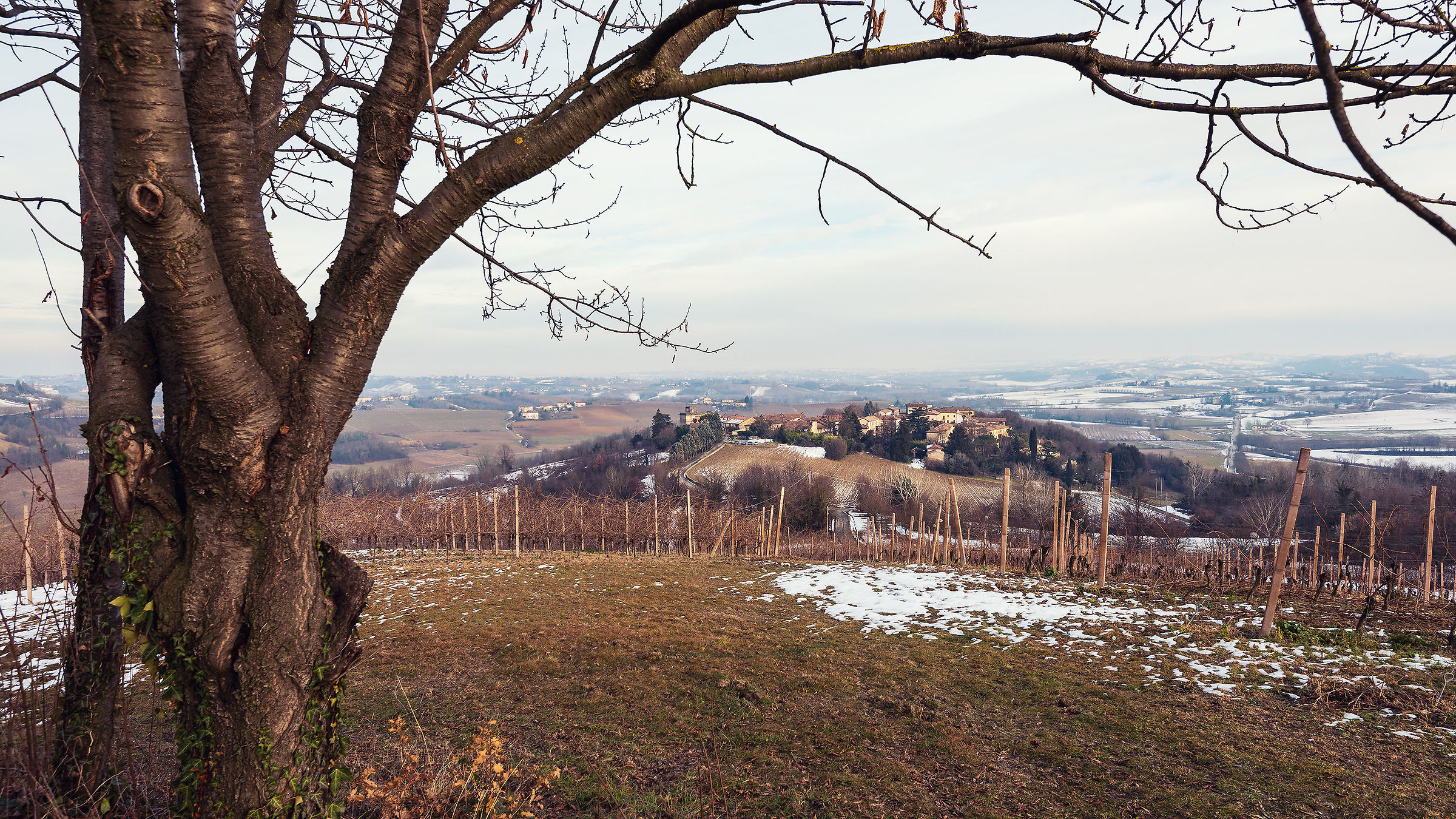 Landscapes of Monferrato: Moleto (AL).