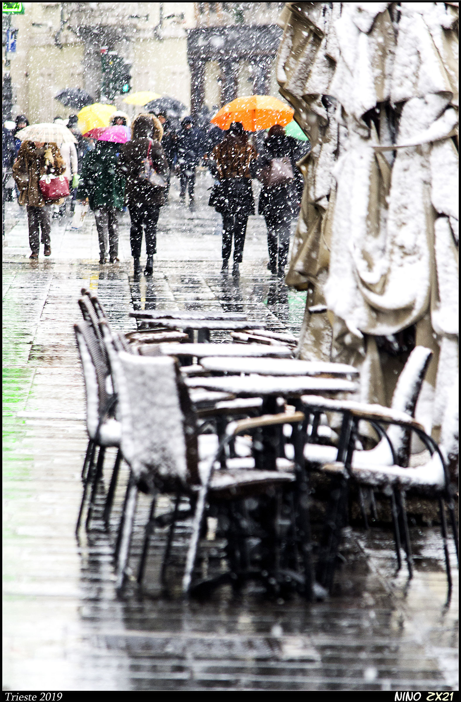 An ordinary day of snow in Trieste II °