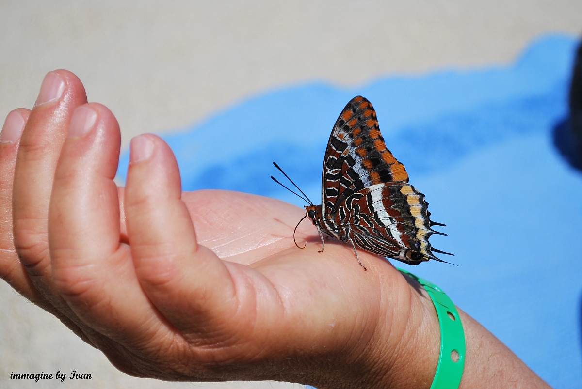 Una carezza sulla mano