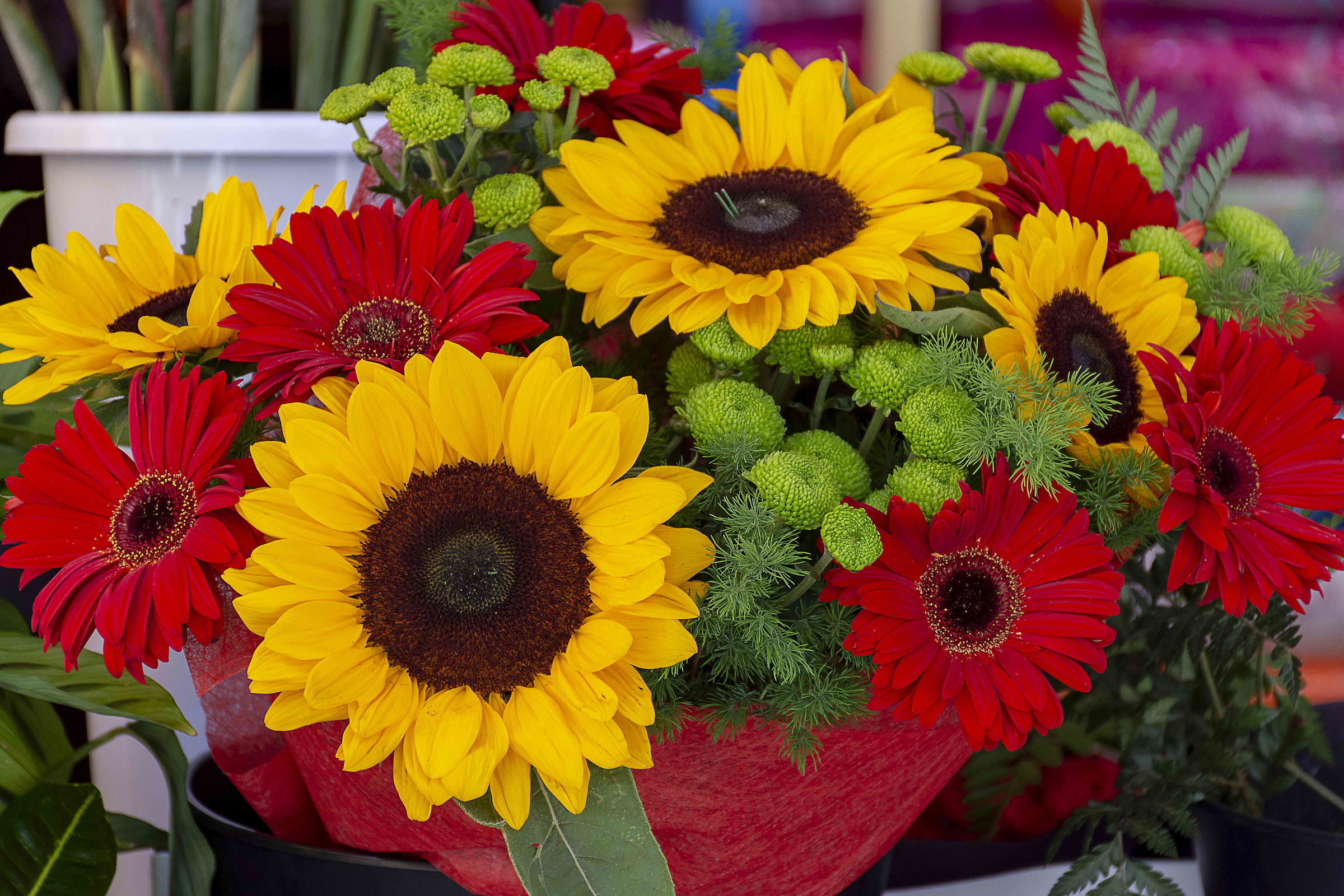 il mercato di Alicante