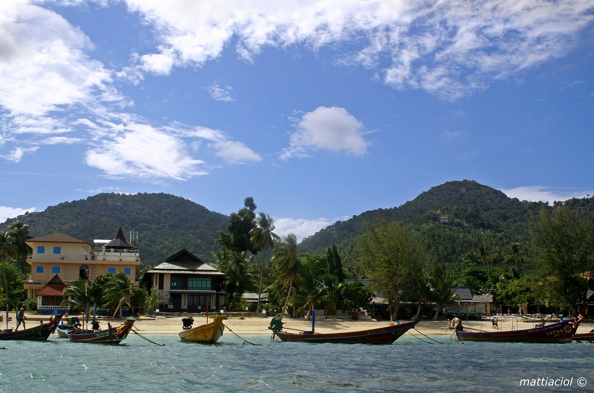 saree beach koh tao