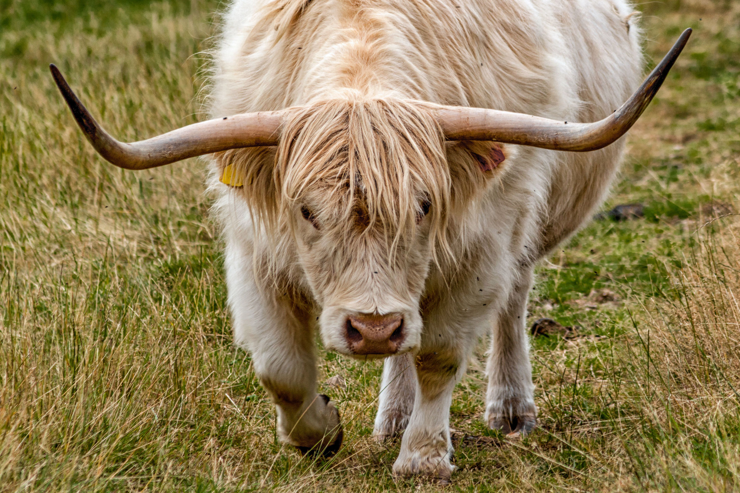 What are you looking at?