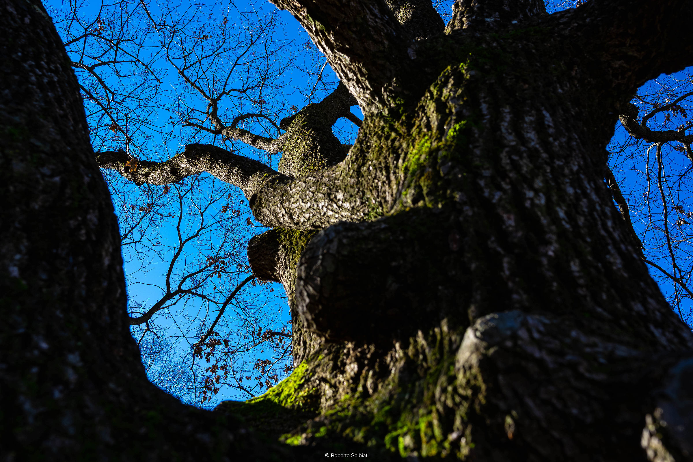 Il gigante addormentato....