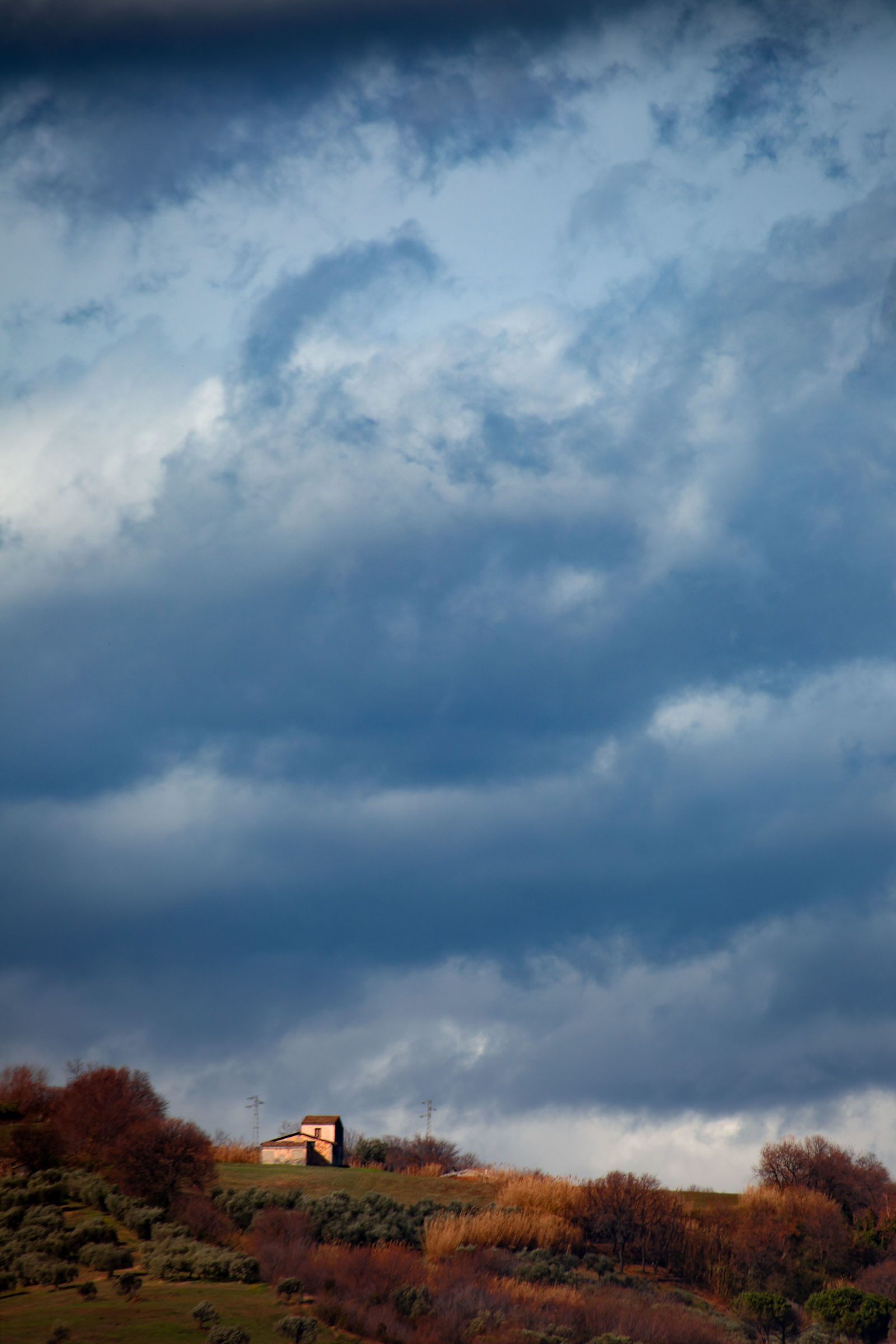 Solitude between the fields