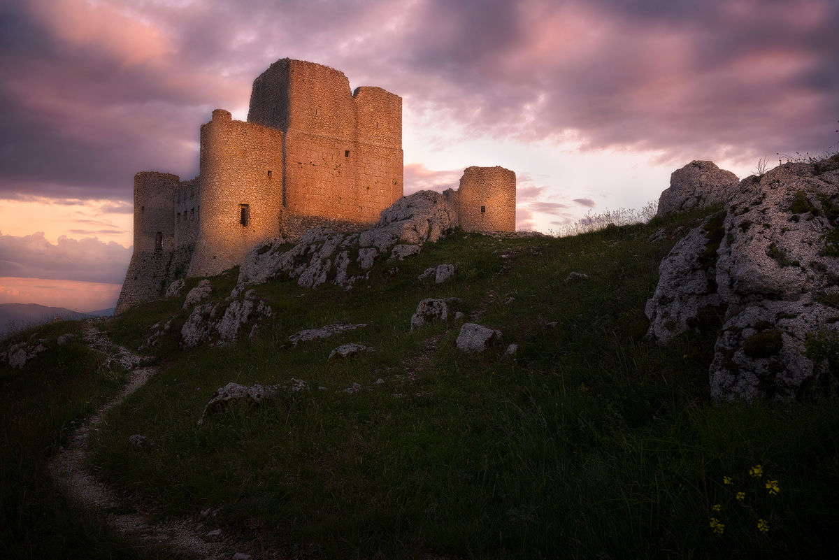 On the tracks of Ladyhawake (Abruzzo, 2018)