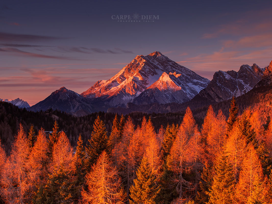 His Majesty the King