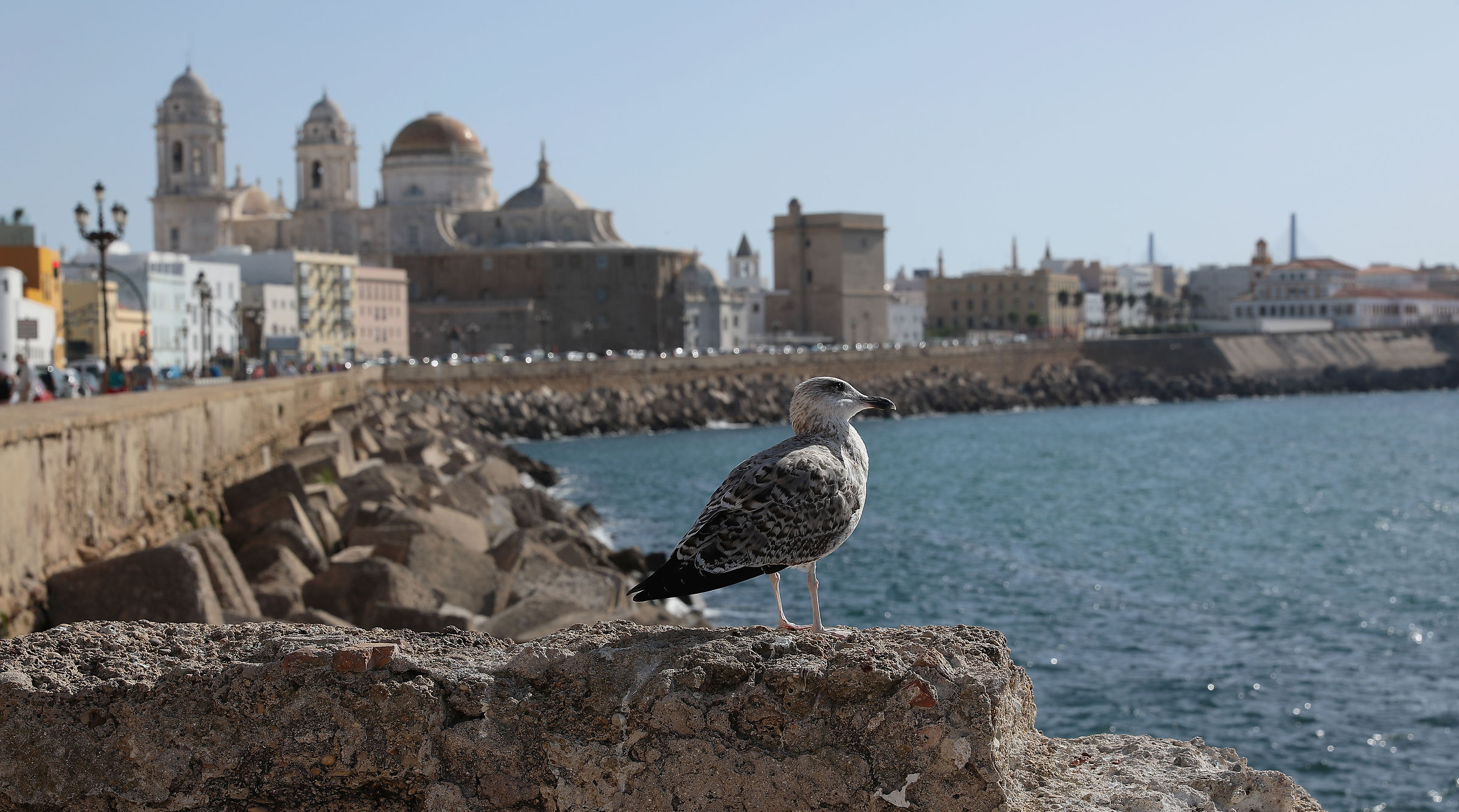 Cruise Spain Beach Promenade of Cadiz