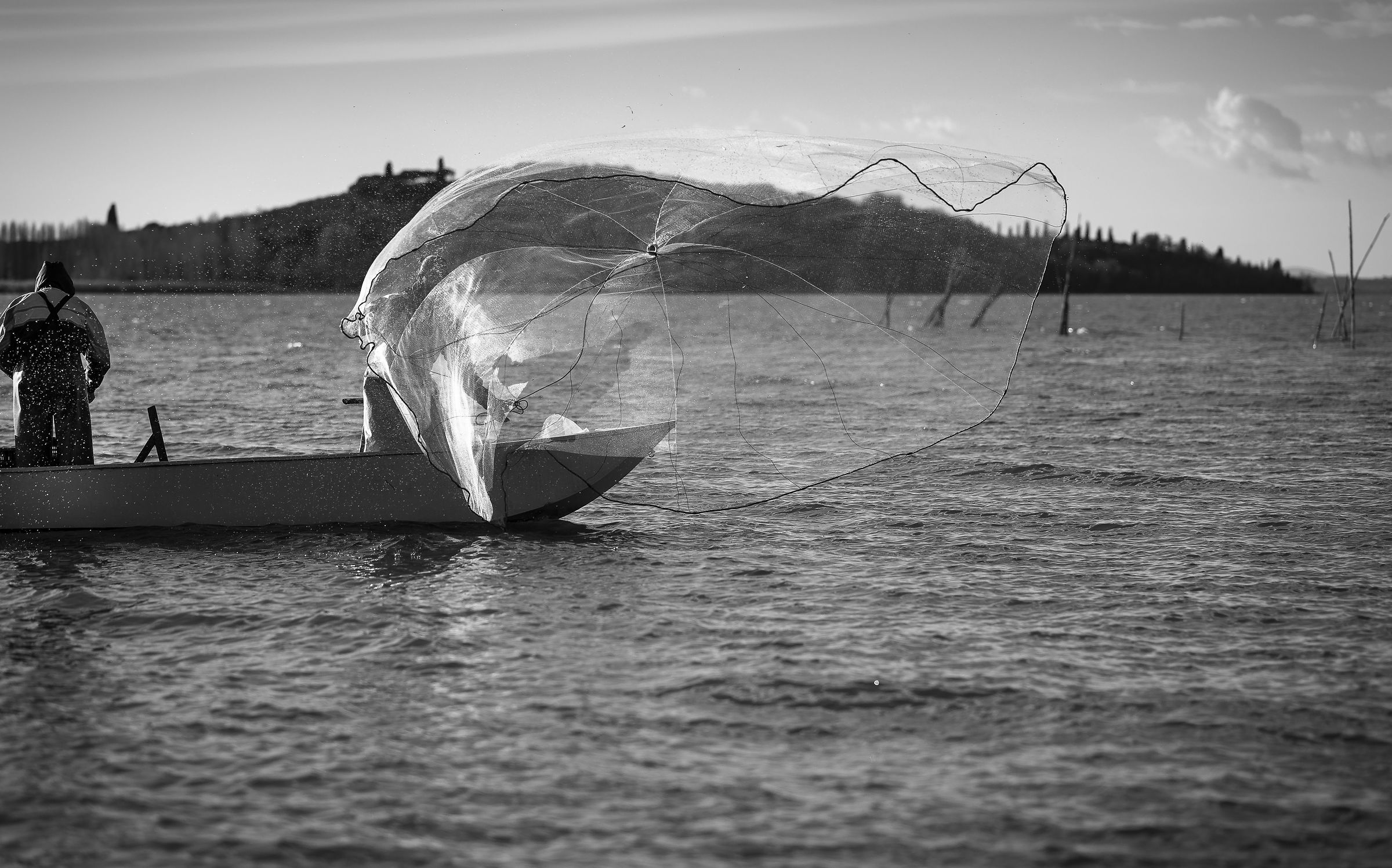 To the wind of Tramontana