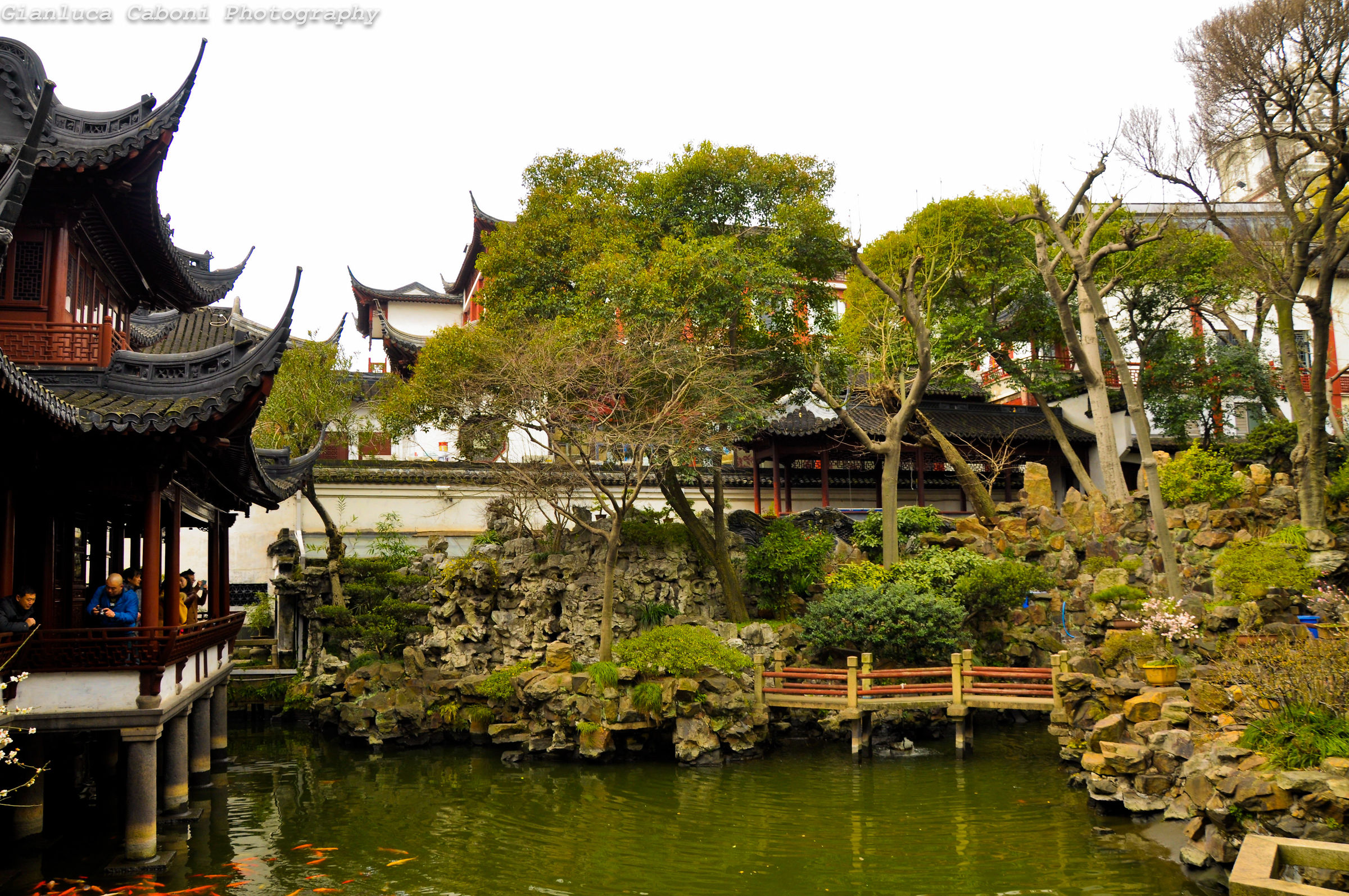 Shanghai città vecchia