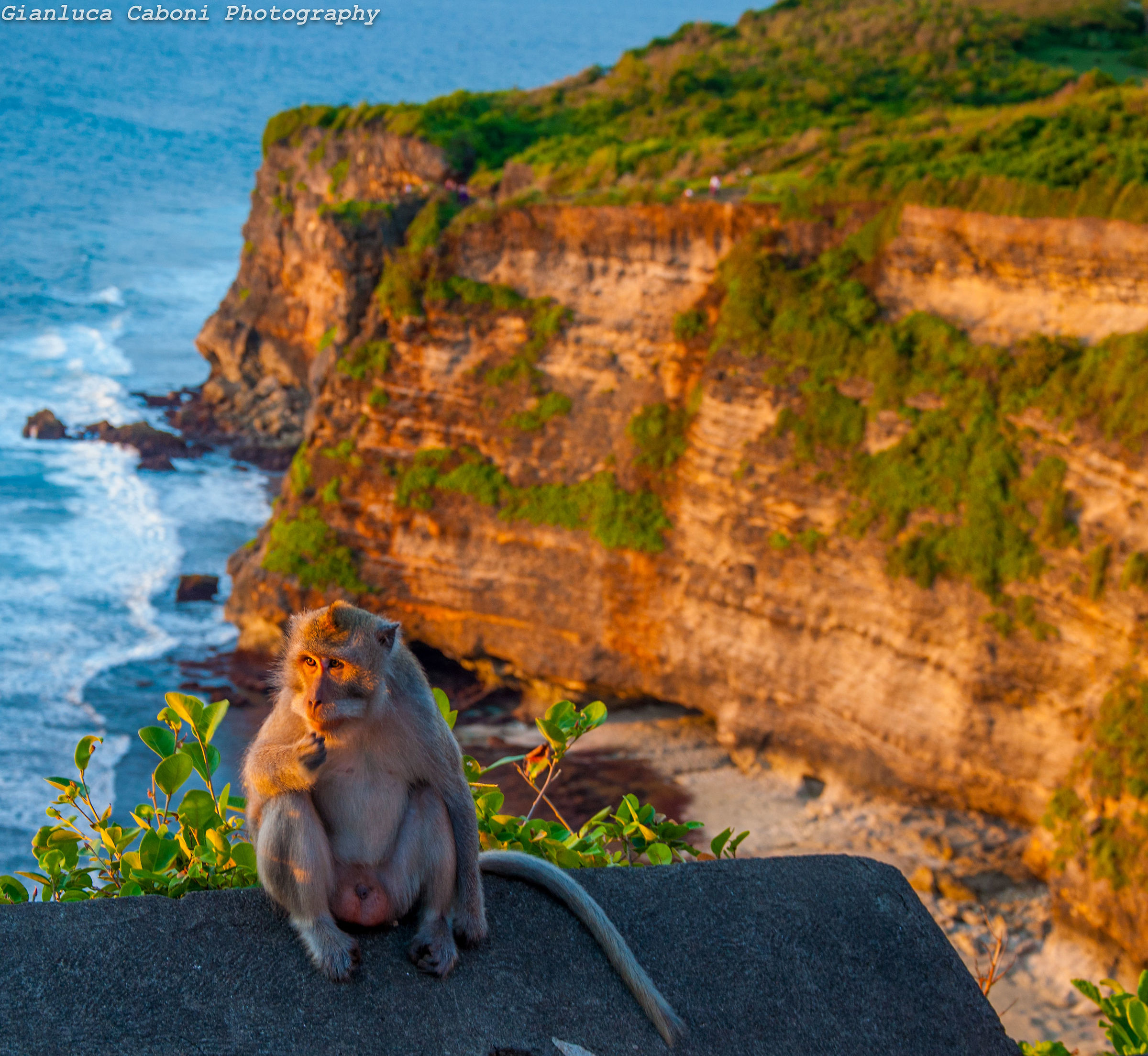 Tempio di Uluwatu, Bali