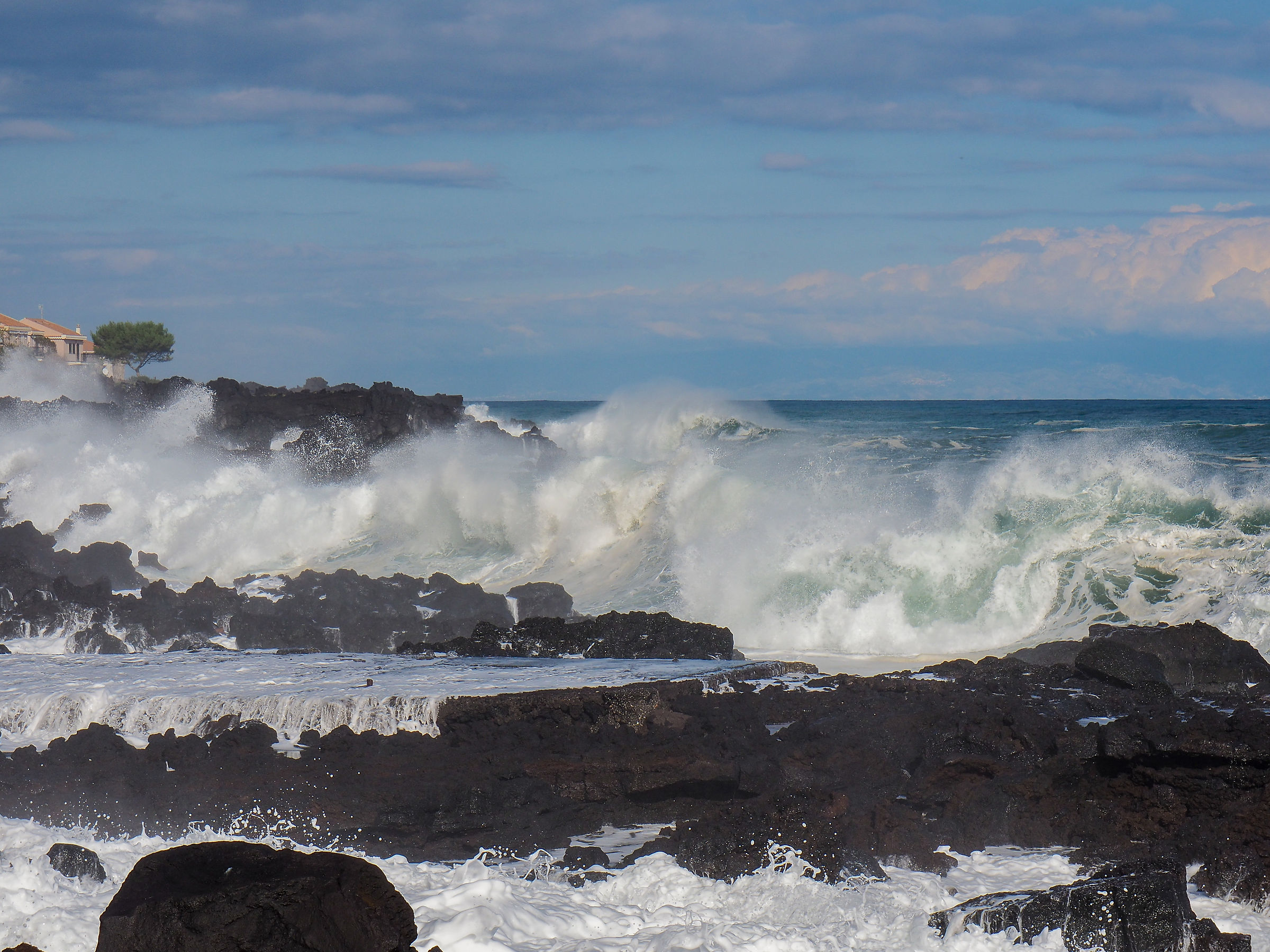 Intent to observe the incessant succession of waves