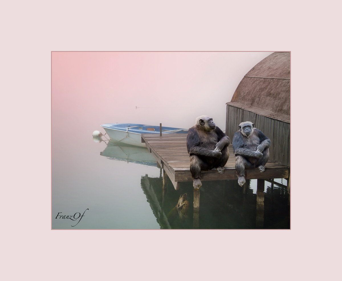 pescatori in pensione