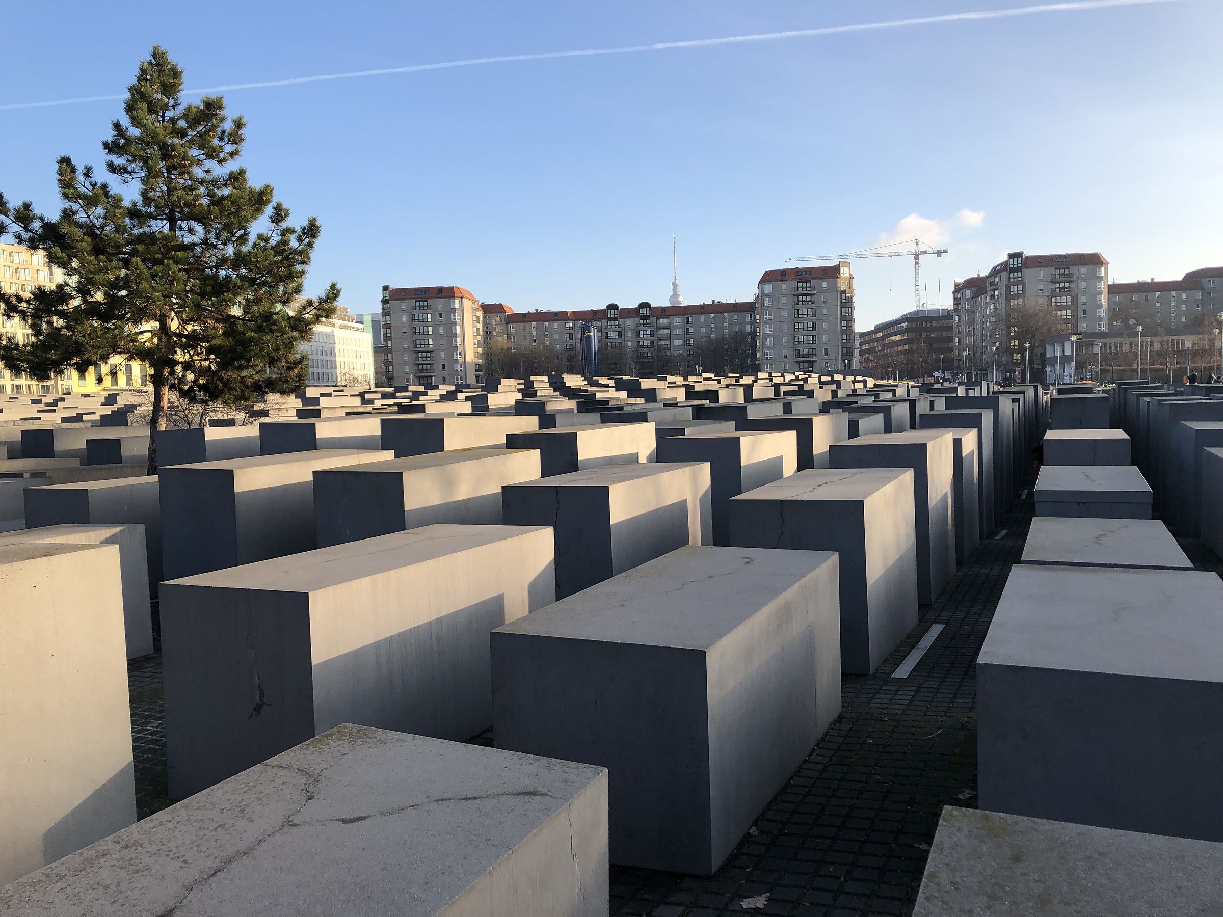 berlino gennaio 2019