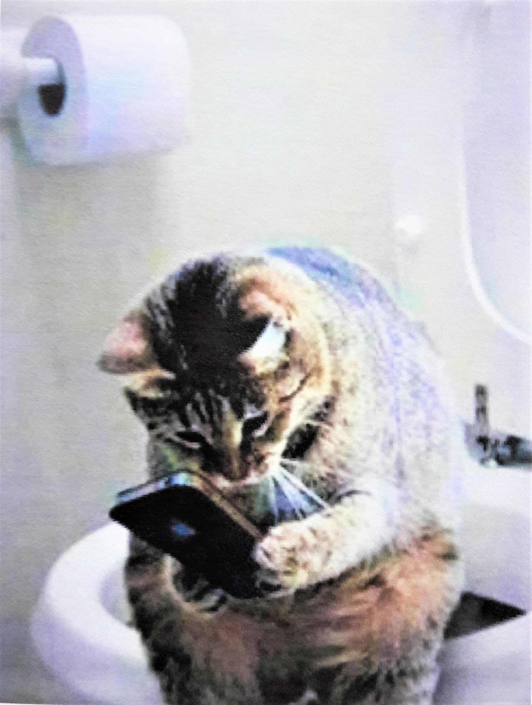 Storie di Cessi - 14 -