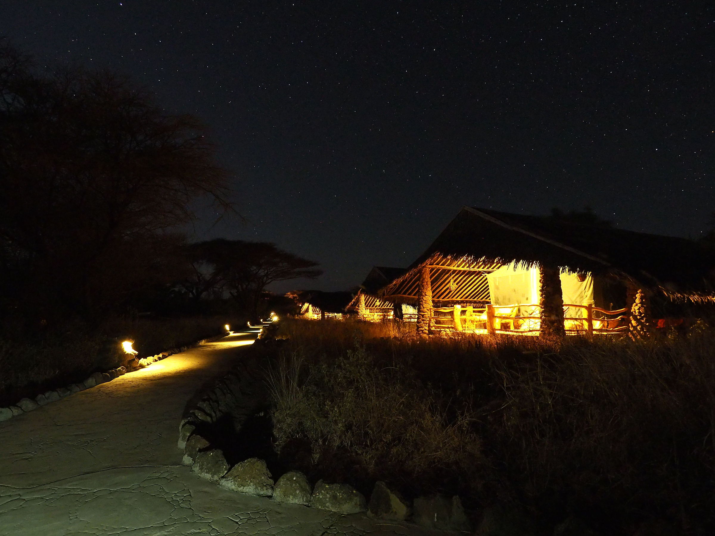 Tented field Amboseli