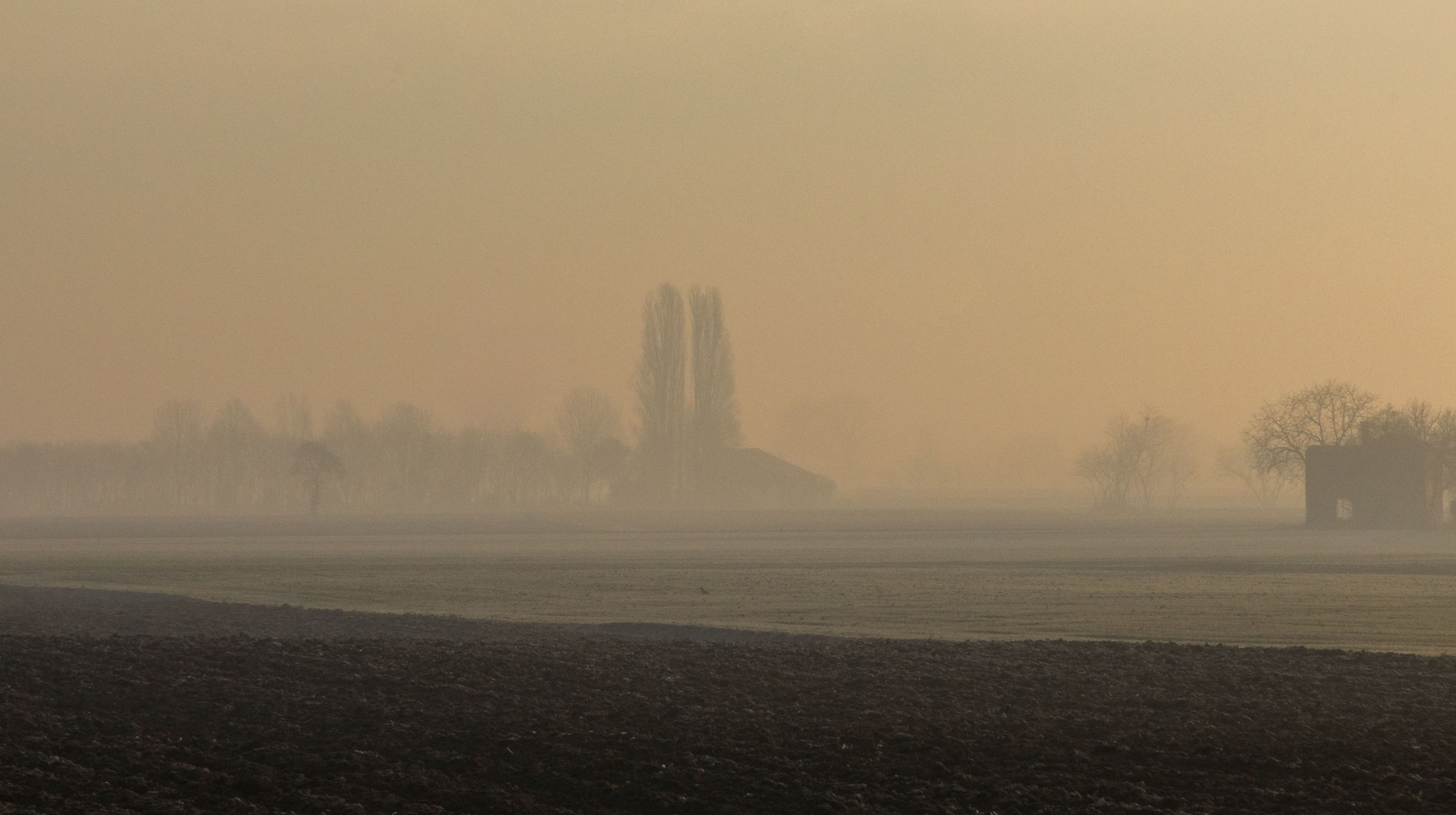 The first lights on the plain