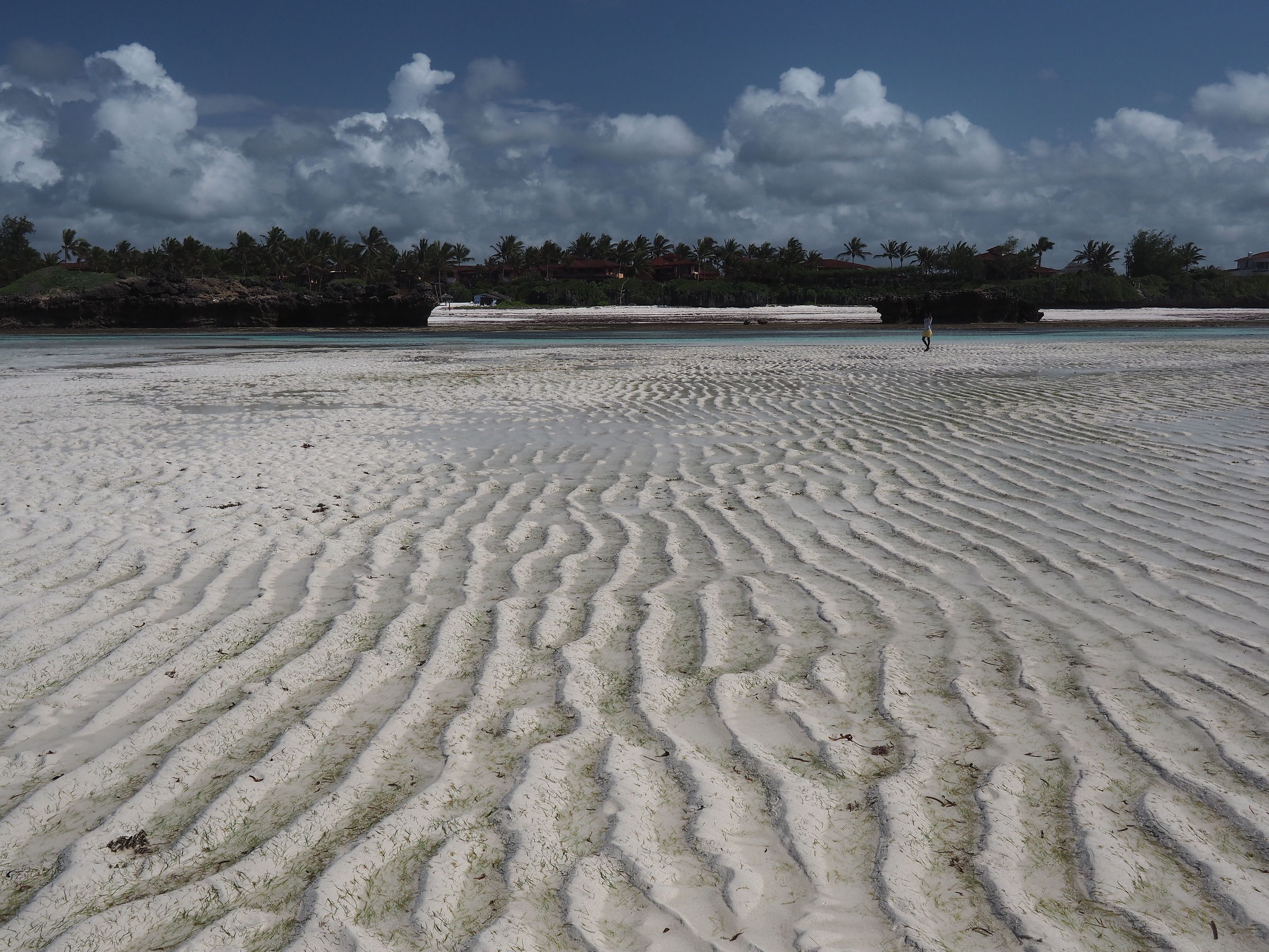 Low Tide Watamu