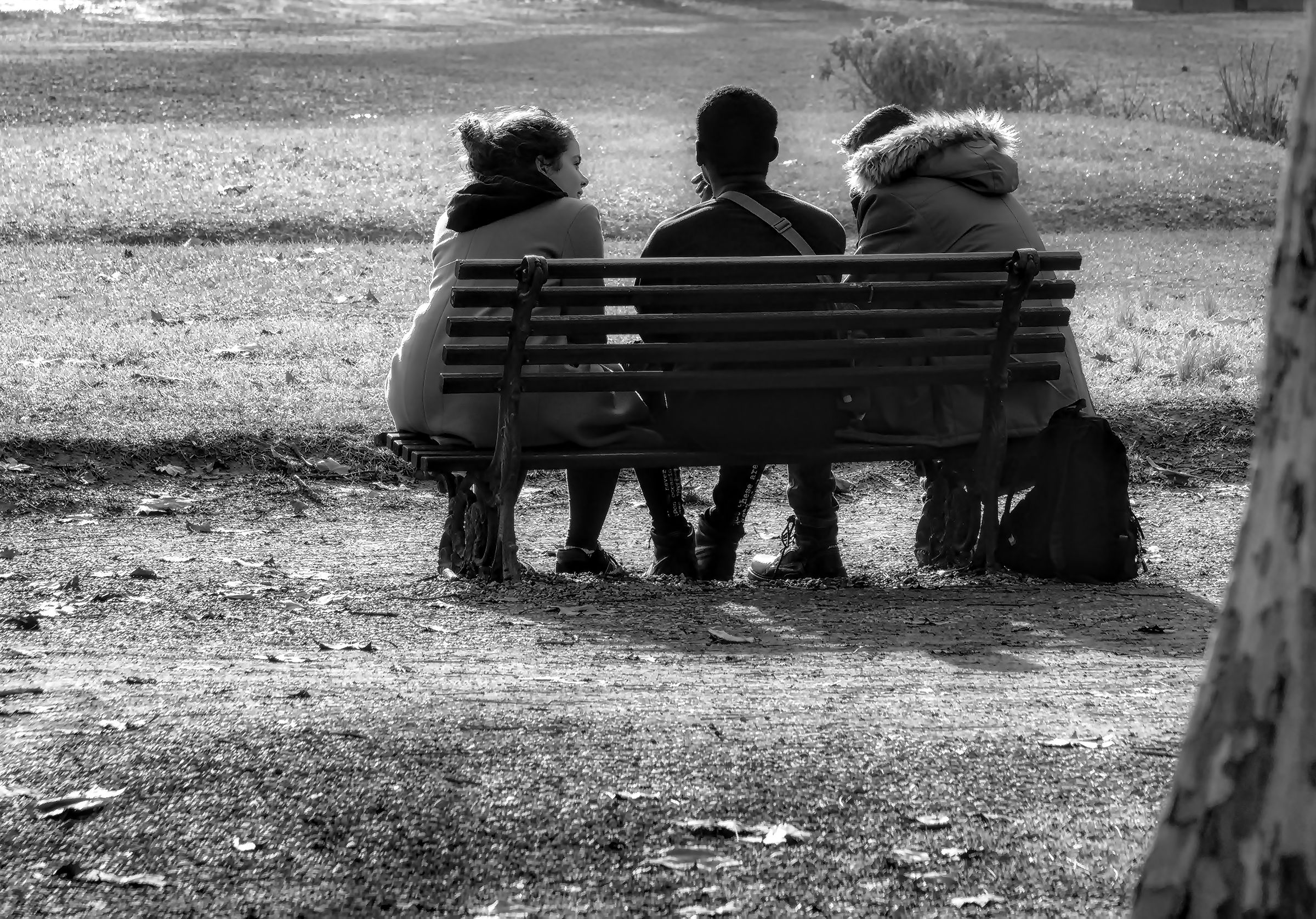 Friends, no colors no races