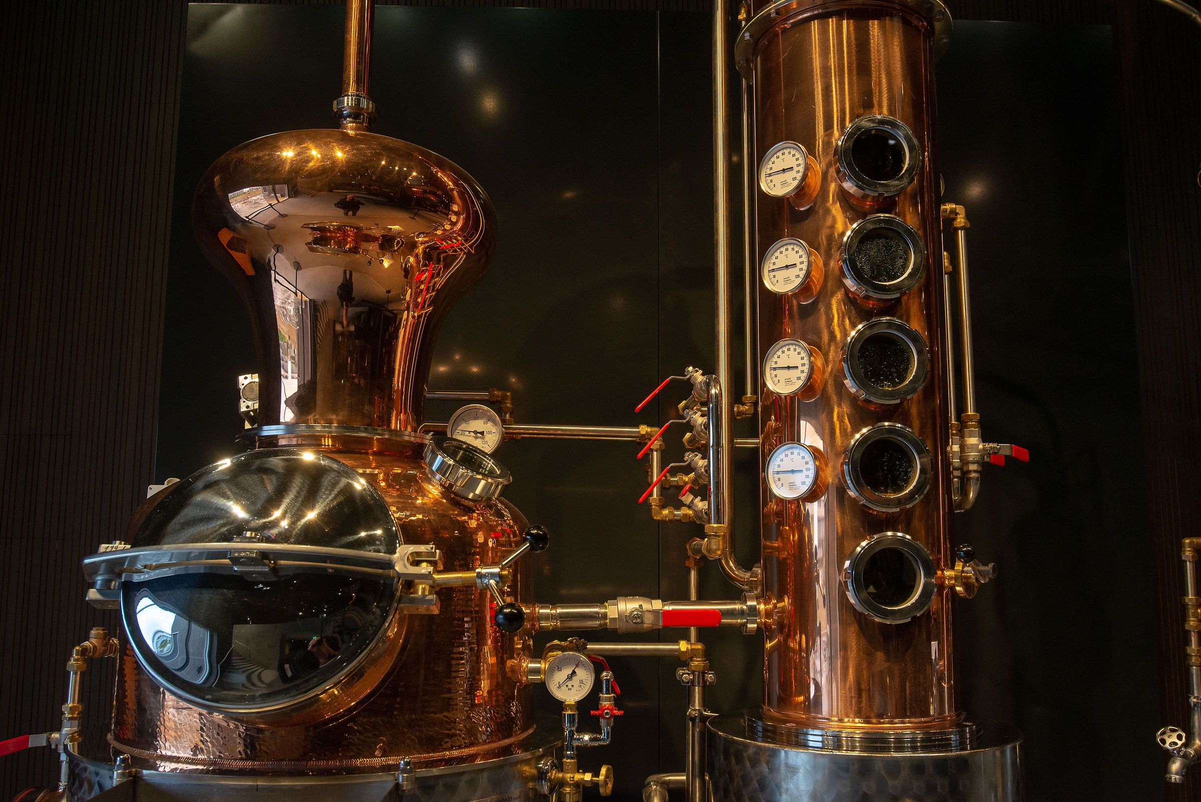 Museo del mosto, Arbon