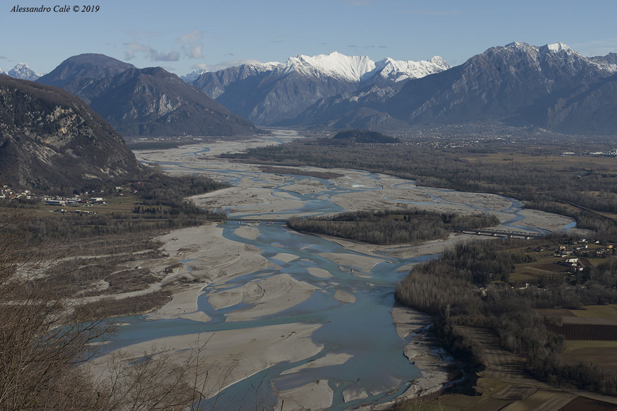 Il fiume Tagliamento 6701