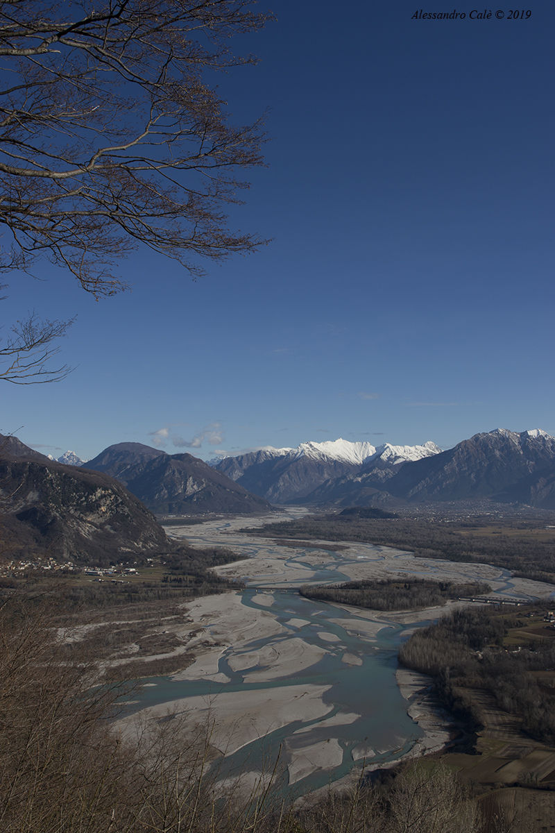 Il fiume Tagliamento 6704