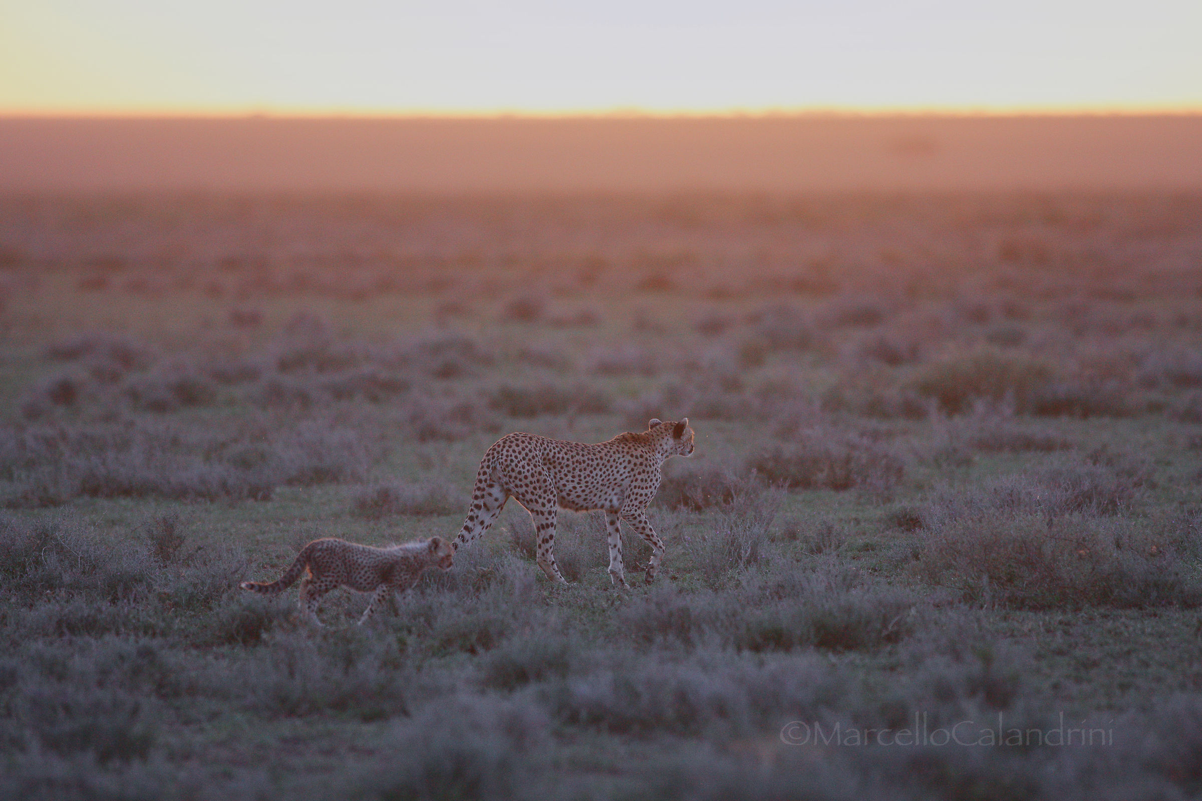 Alone in the evening