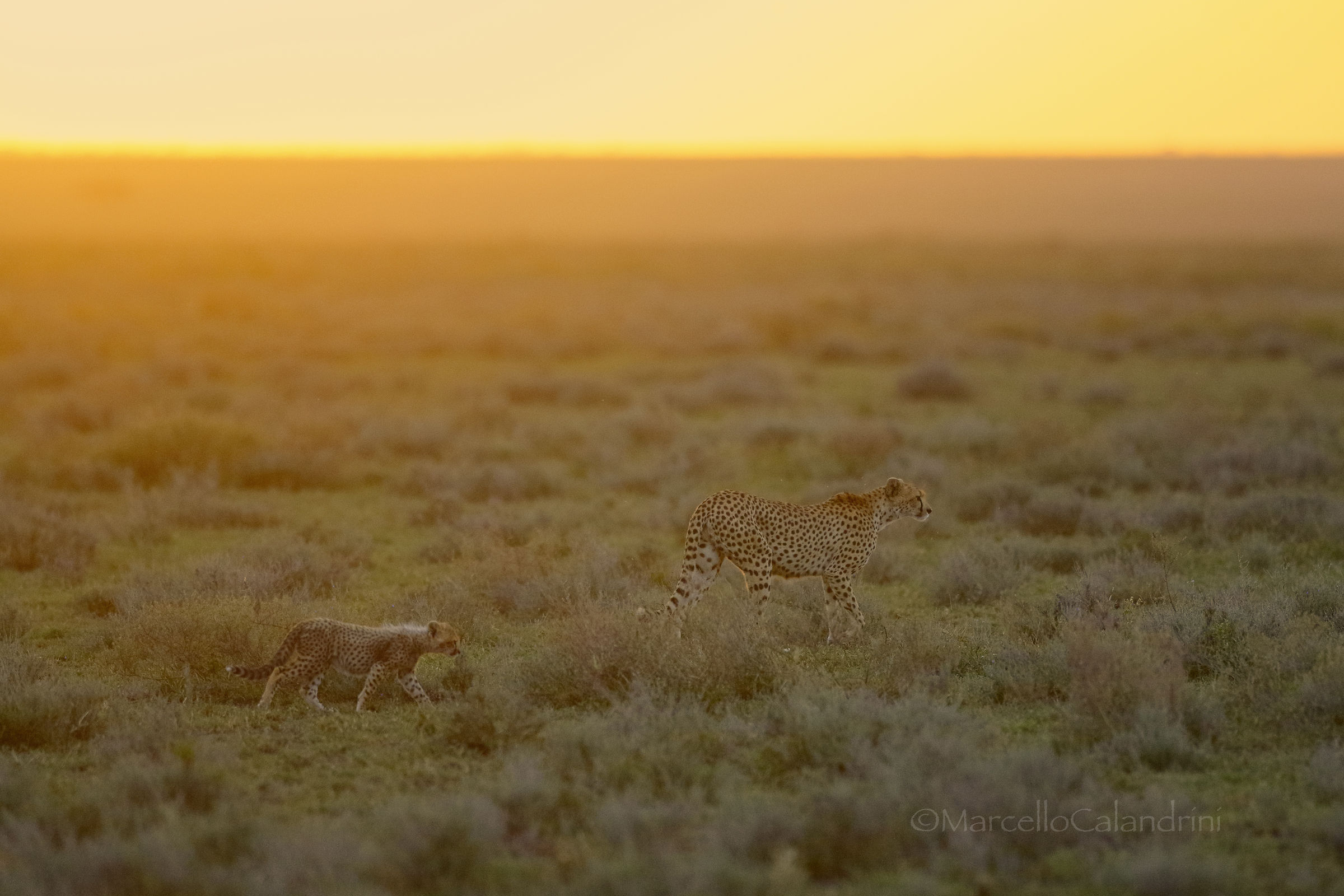 Alone in the evening