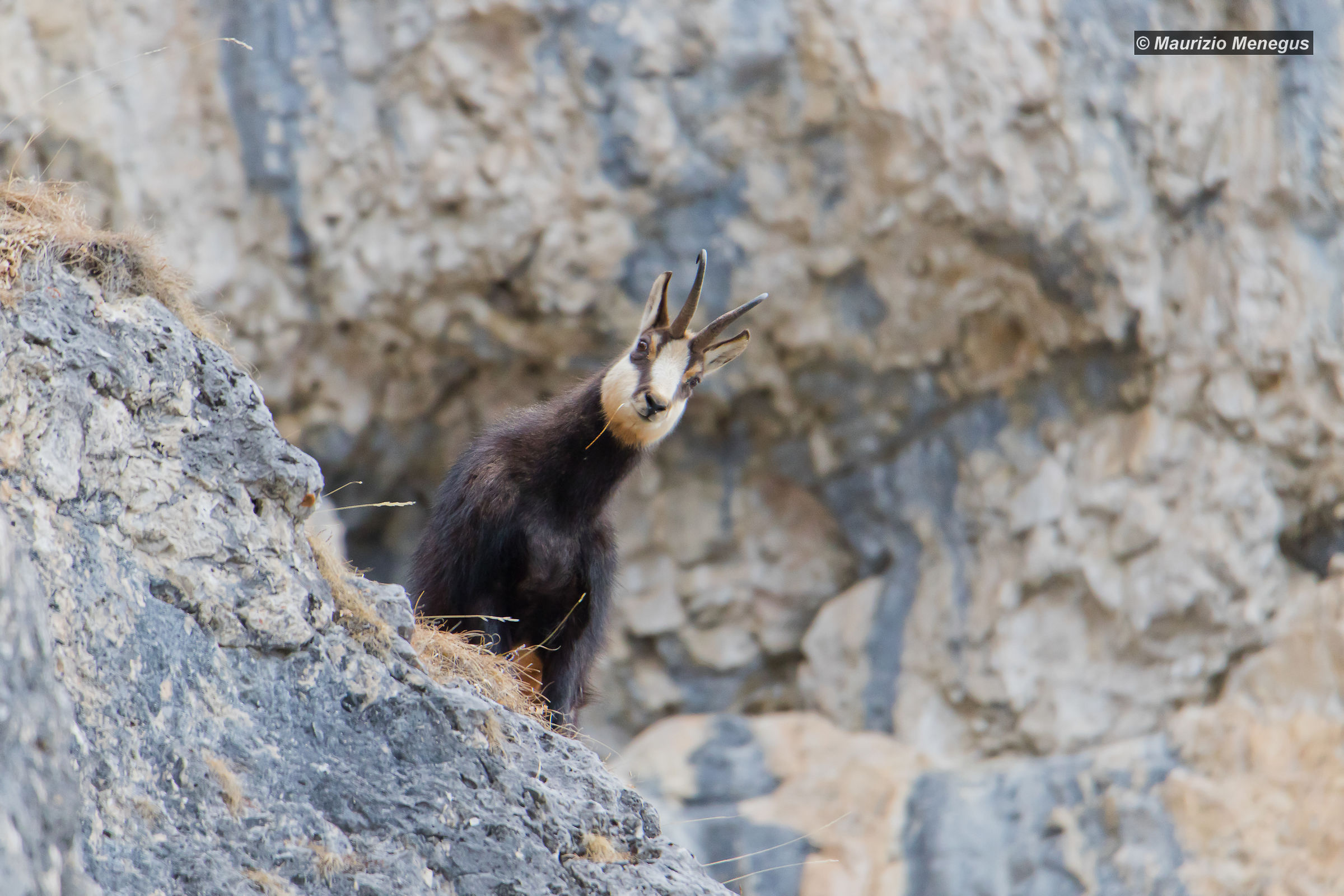Un'occhiatina da lassù...