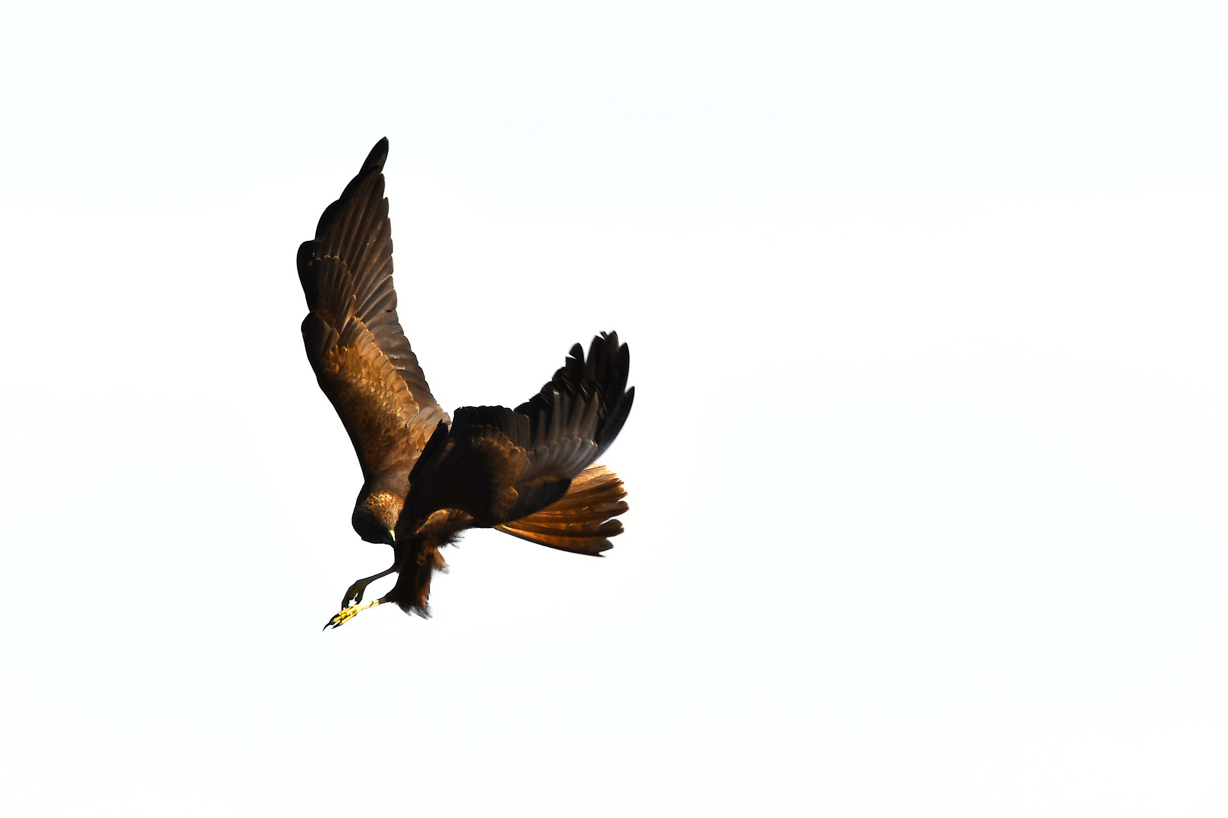 La virata improvvisa