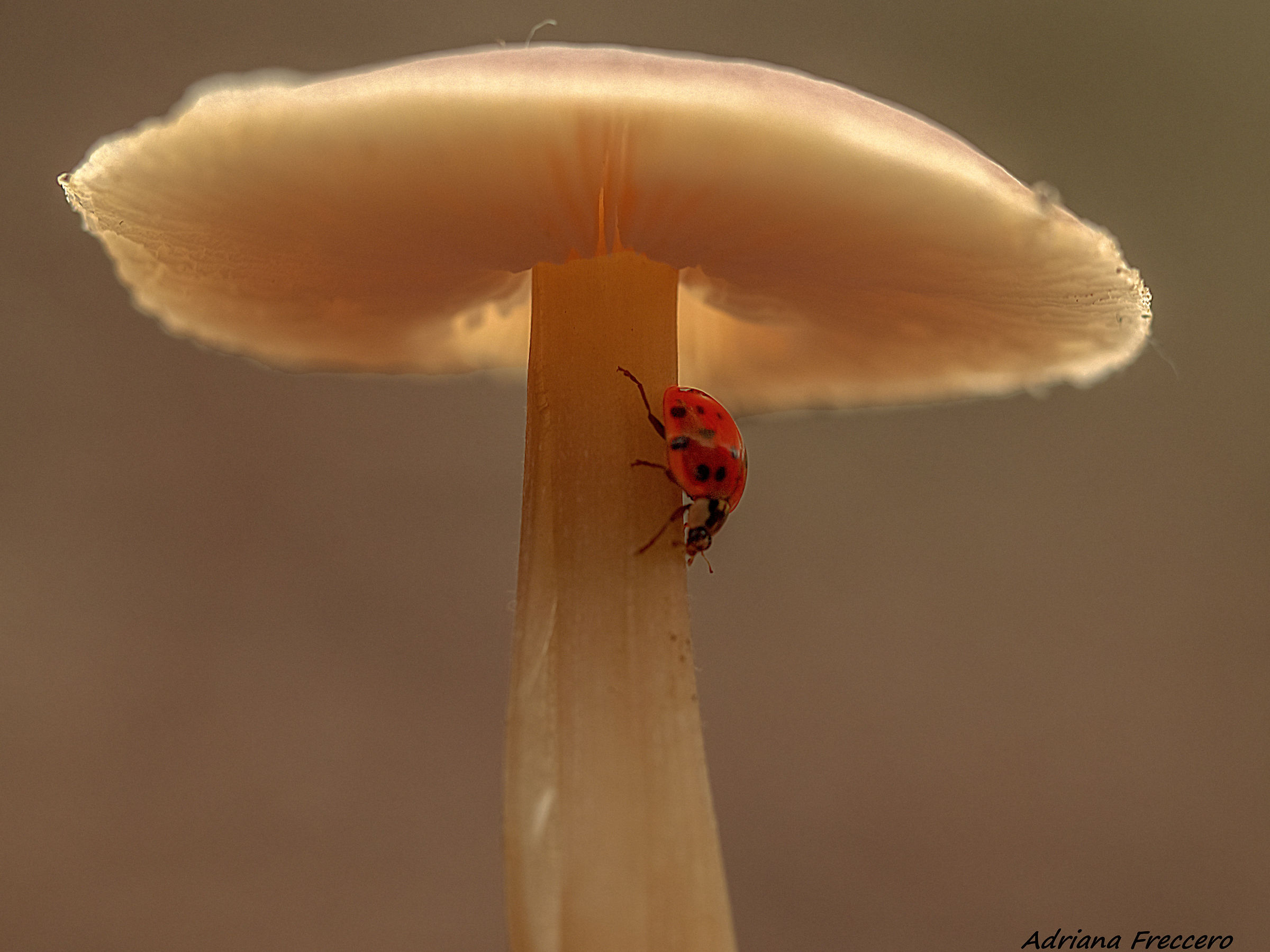 Untitled Photo