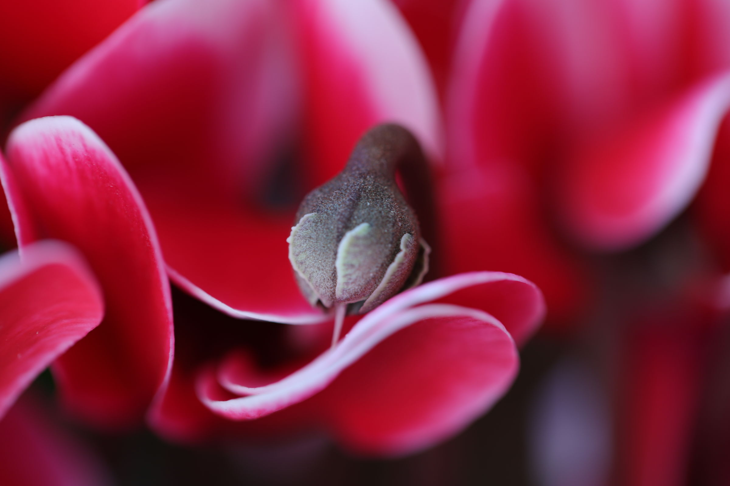 Untitled Photo
