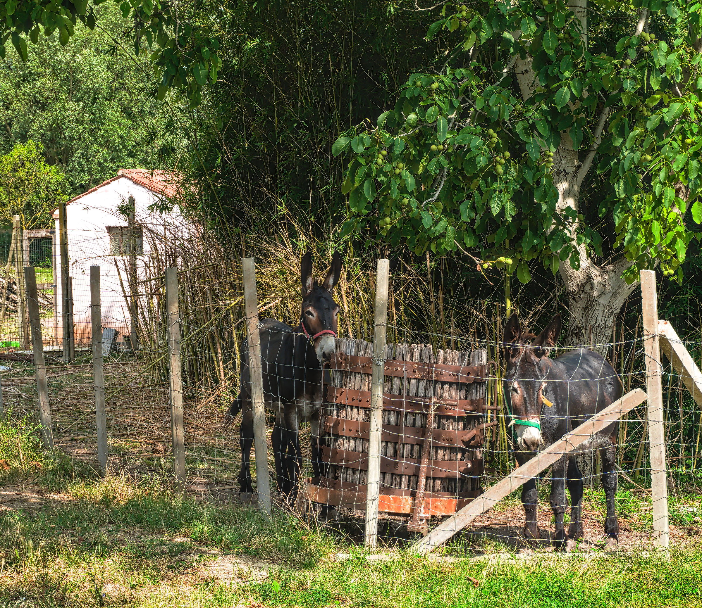 Watch out for those two