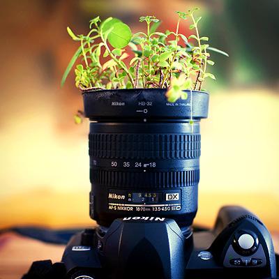 Uso intenso di Nikon