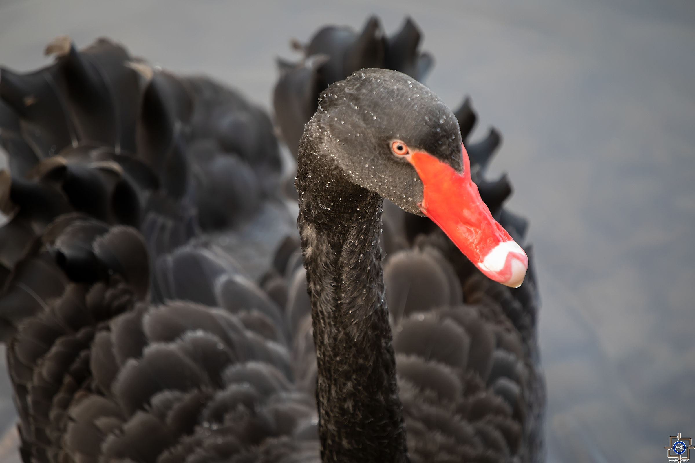 Diversità e' ricchezza