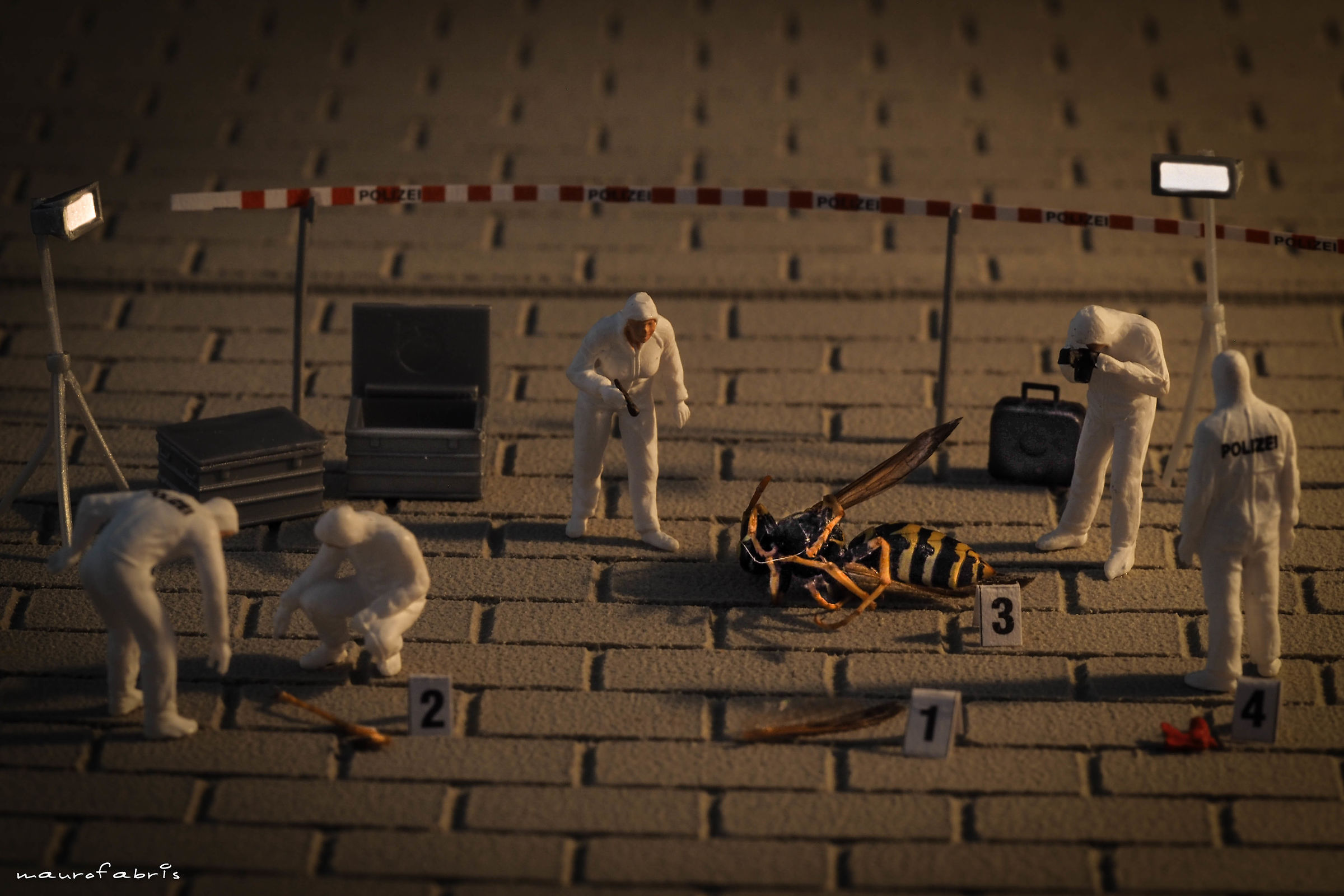 C.S.I.... and this is where it comes from???