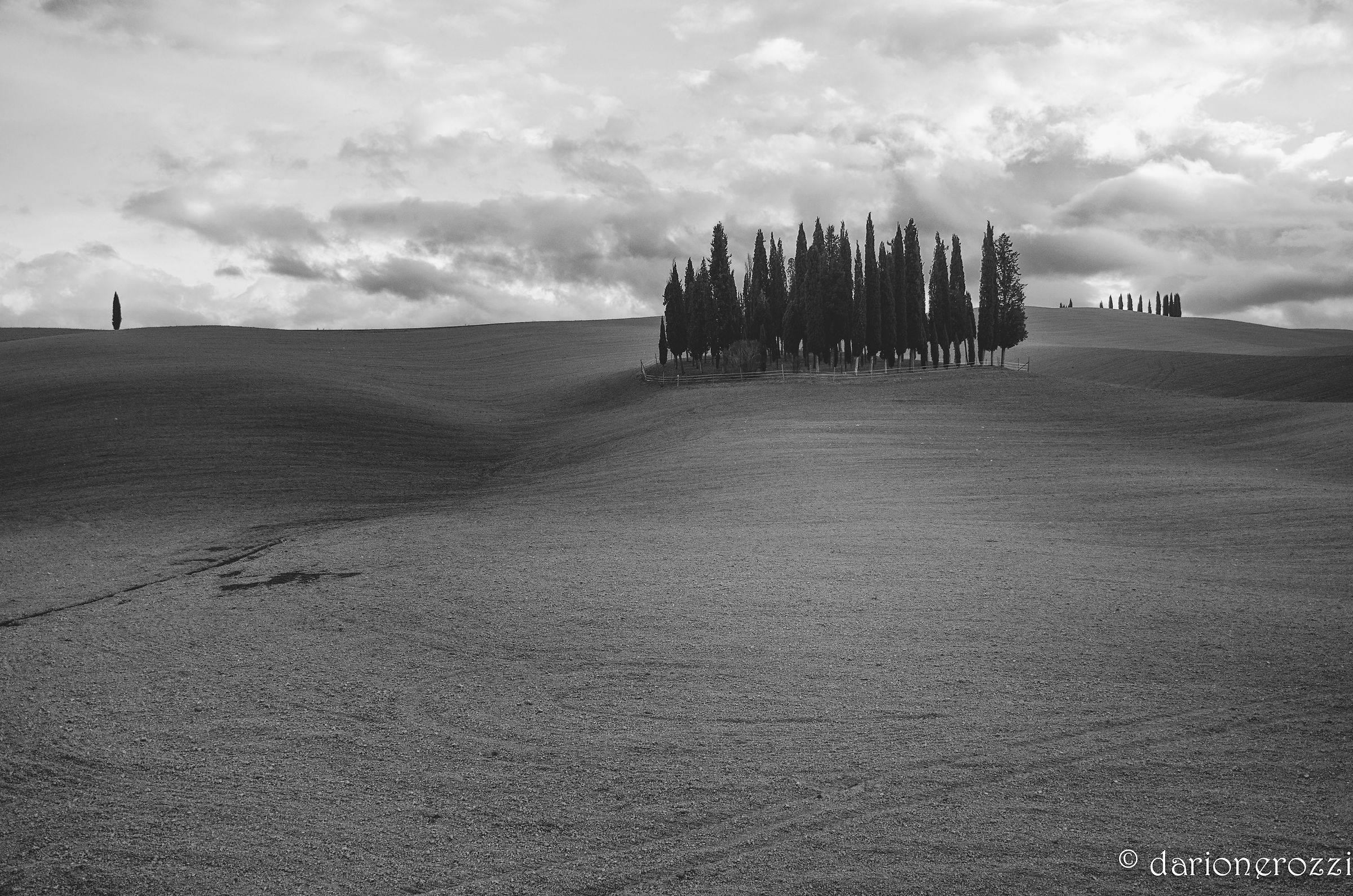 I "cipressini" di San Quirico d'Orcia