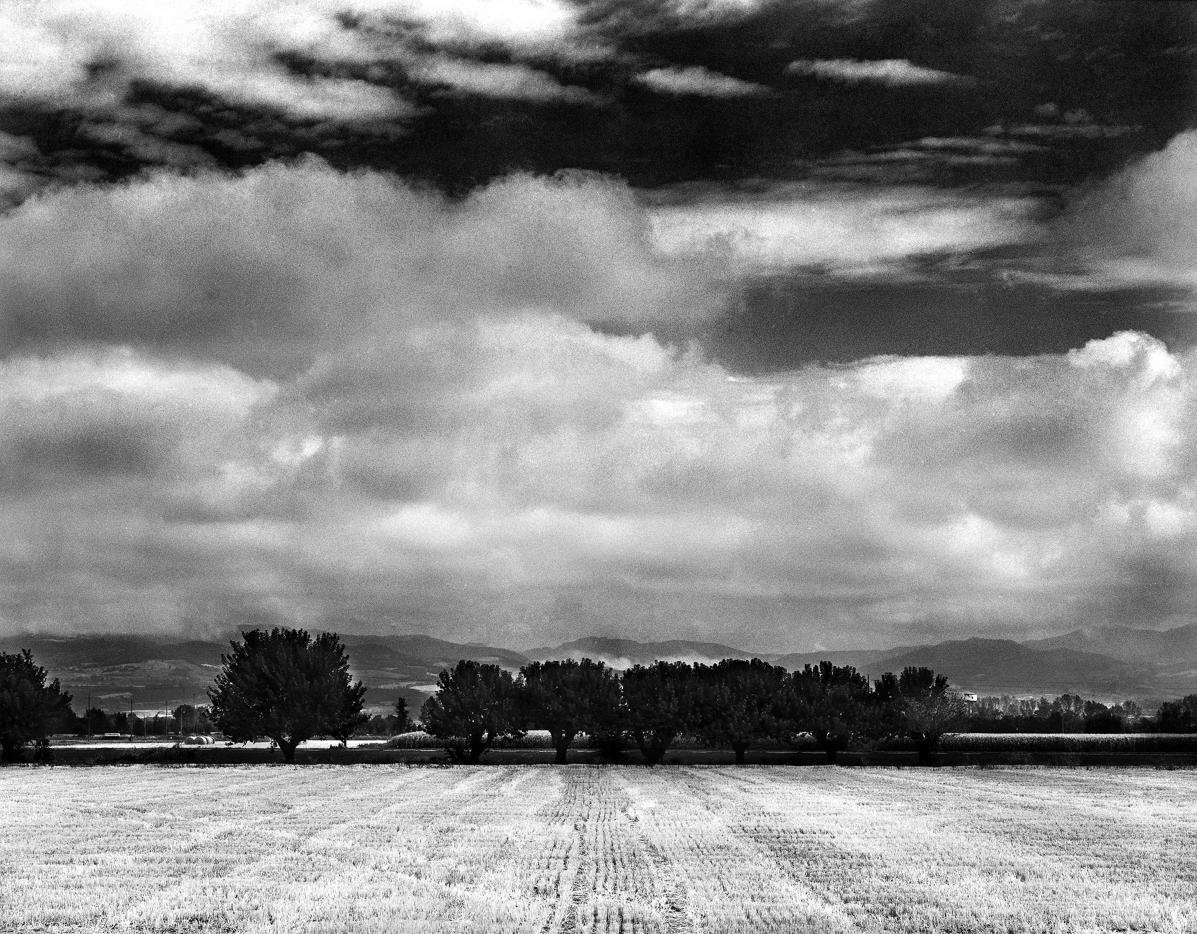 Plain Piacentina-Quarto2