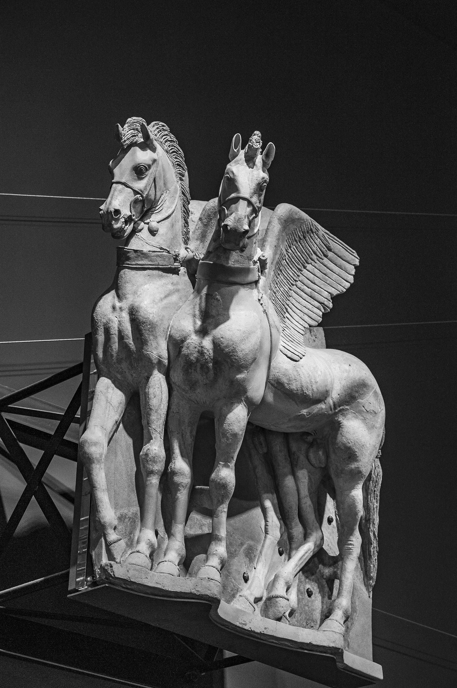 cavalli alati museo di tarquinia VT