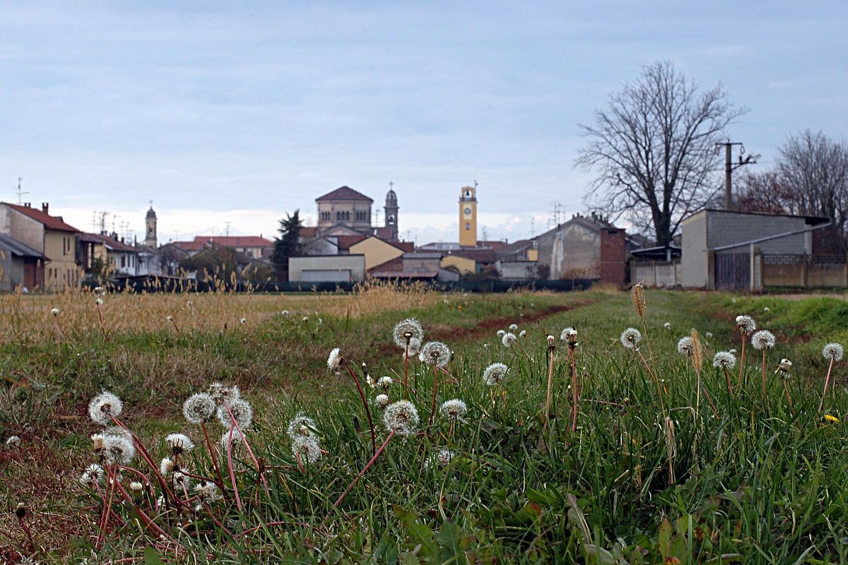 My beloved Costanzana