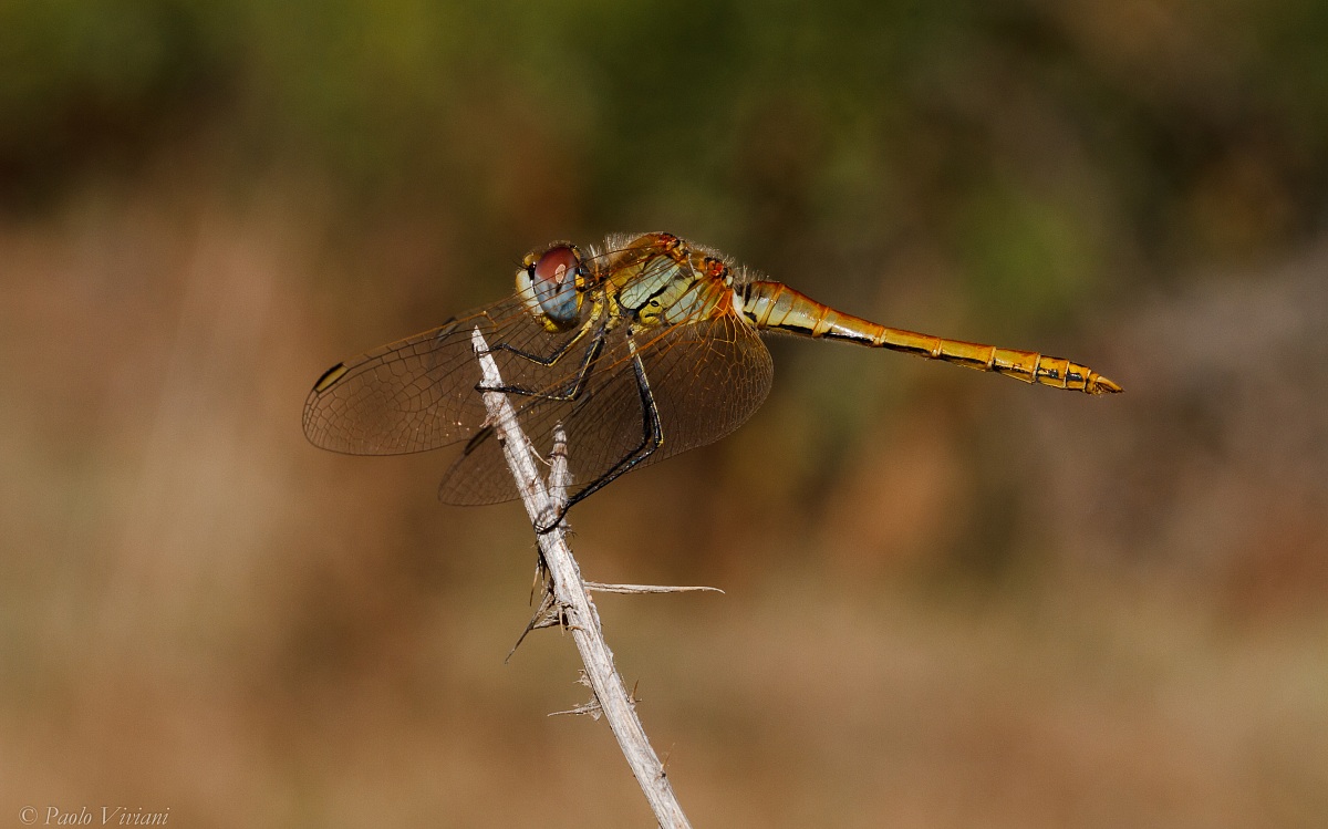 When the light gets tough .......