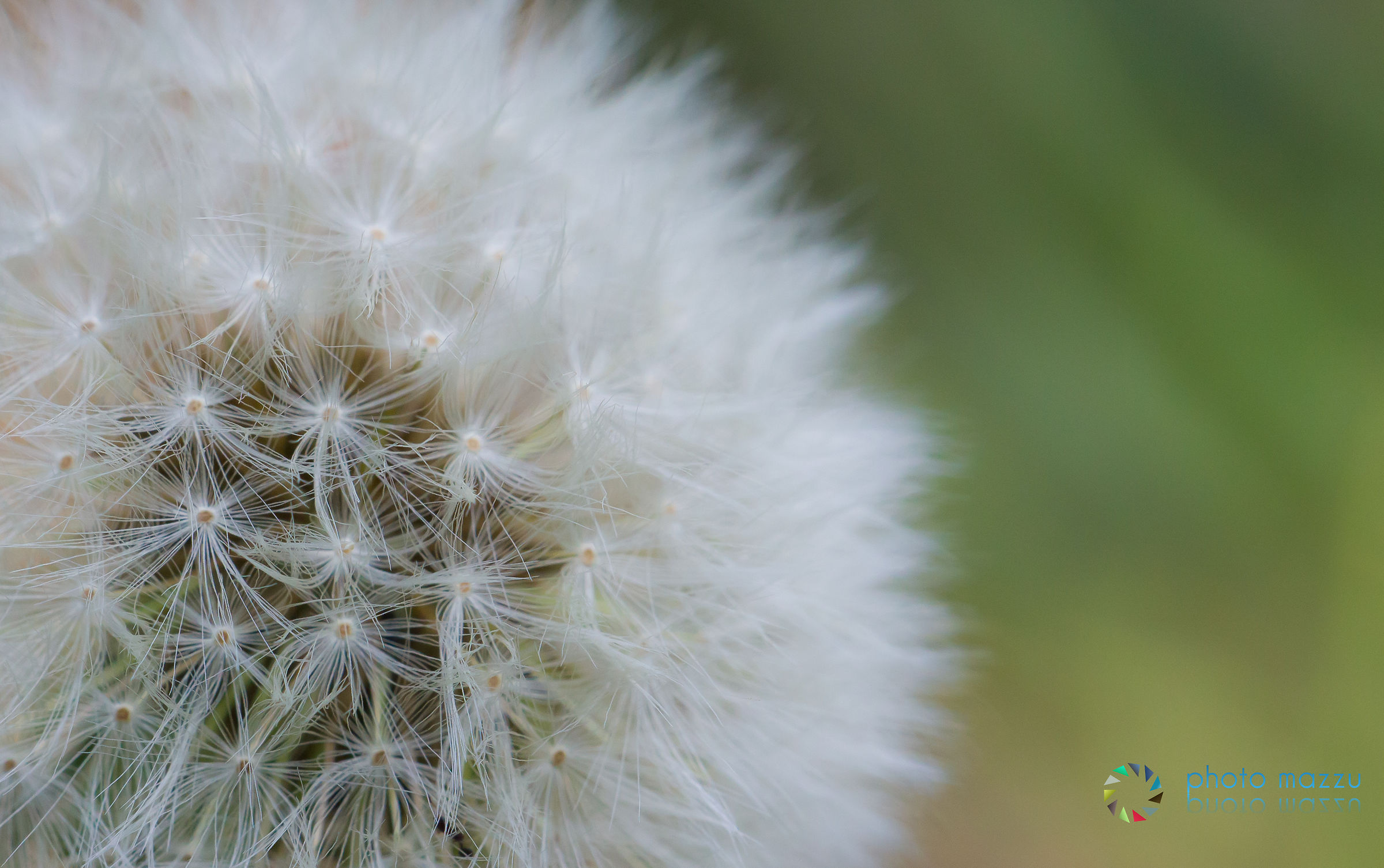 Details of everyday life